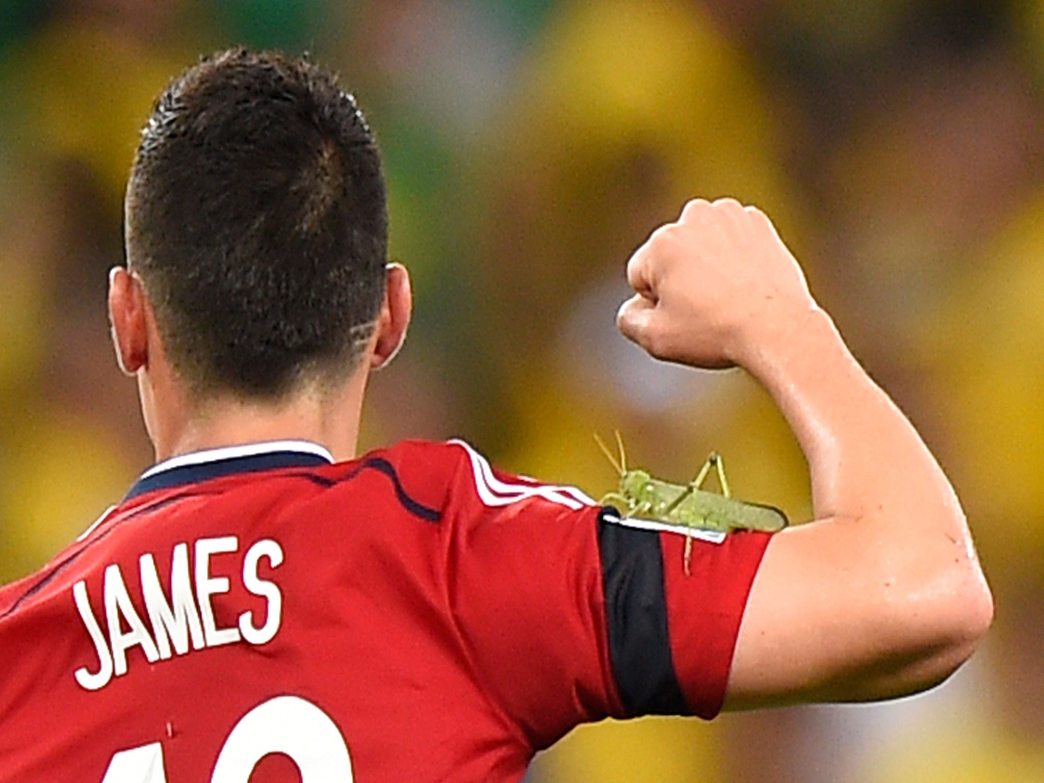 Colombia star James Rodriguez celebrates but remains completely unaware that a grasshopper is on his arm