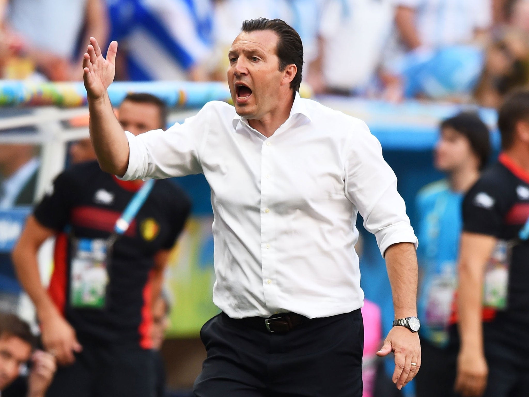 Belgium coach Marc Wilmots