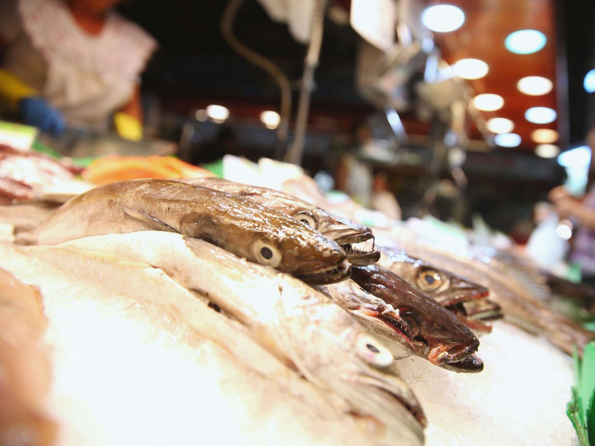 Watery grave: scientists are warning that climate change is changing the chemical make-up of oceans, meaning that the fish in La Boqueria market could become a thing of the past (Getty Images)