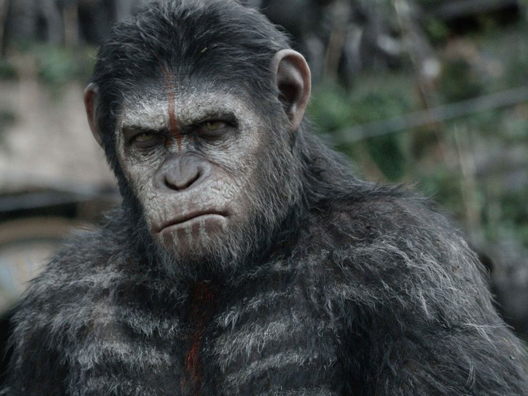 'Dawn of Planet of the Apes' also looks set for success in the Chinese market