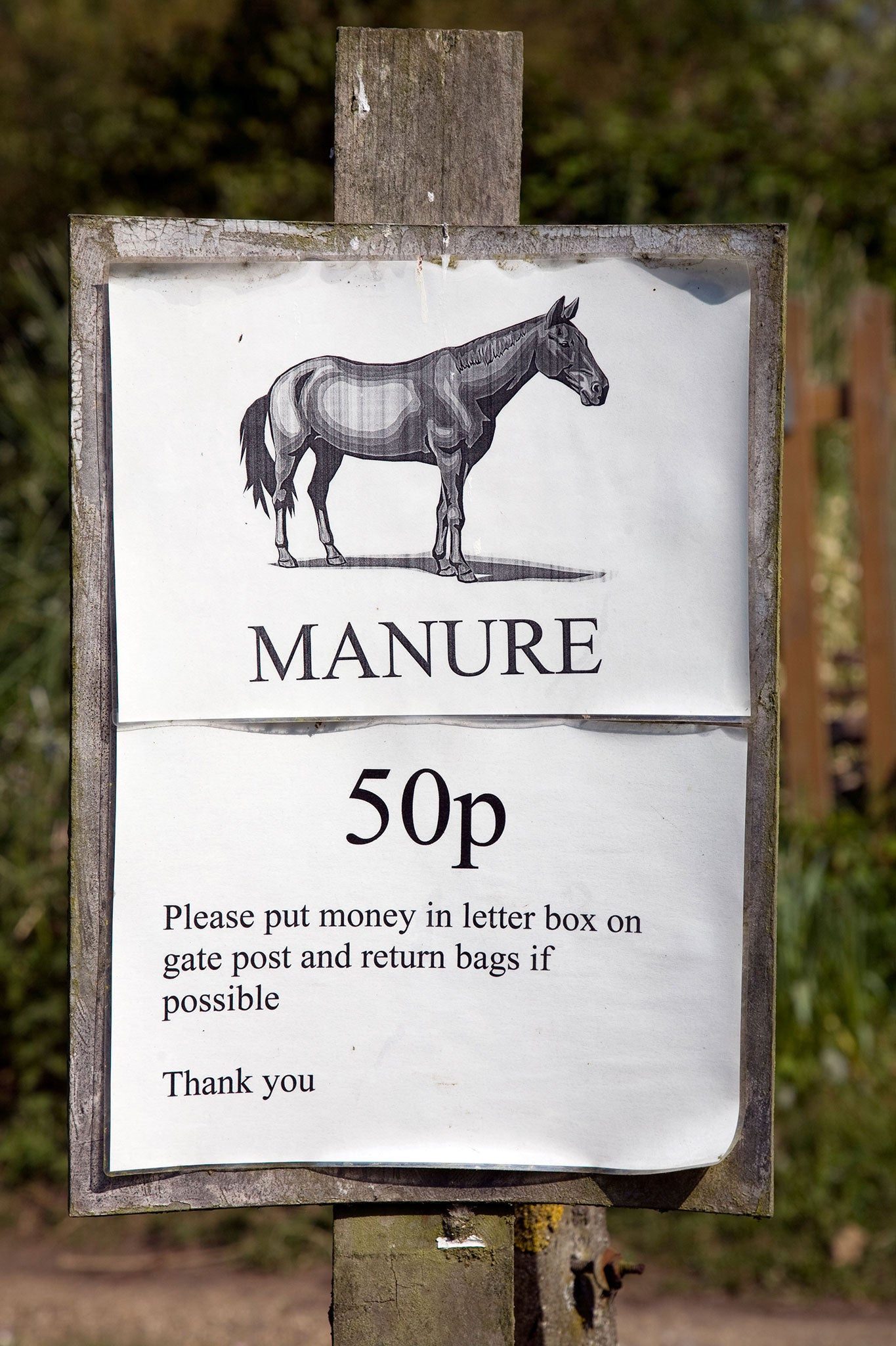 It may reek but manure provides a water-retention layer, as well as a welcome feed