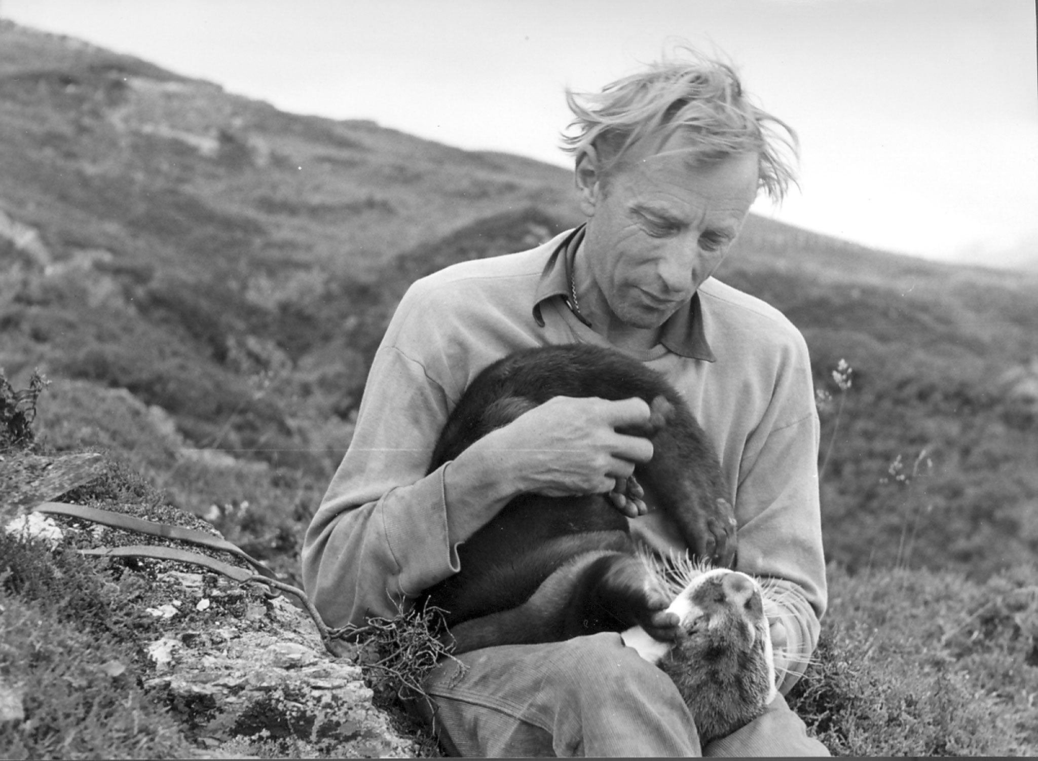 Gavin Maxwell in Sandaig with one of his pet otters