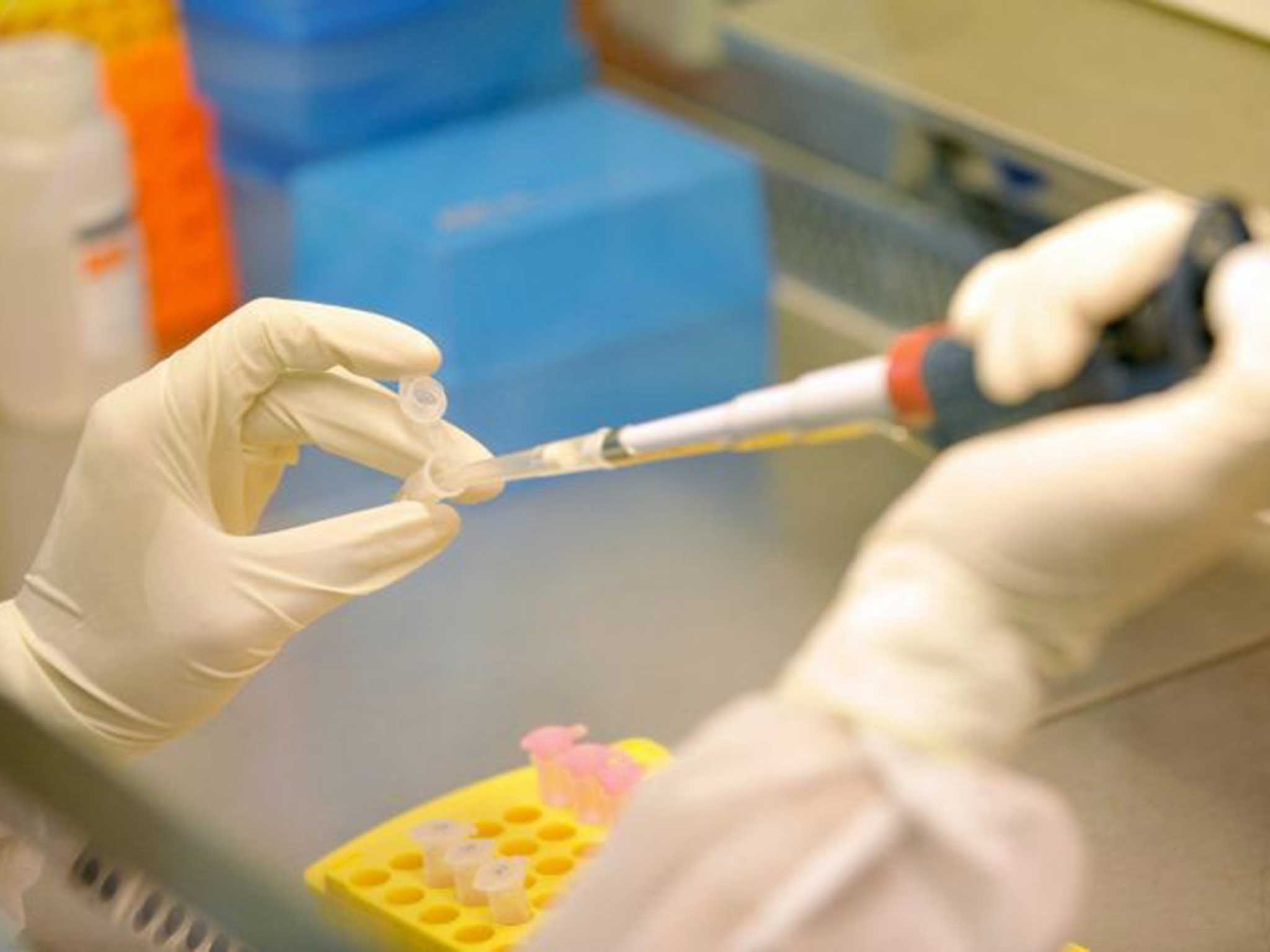 A scientist conducts experiments in a laboratory