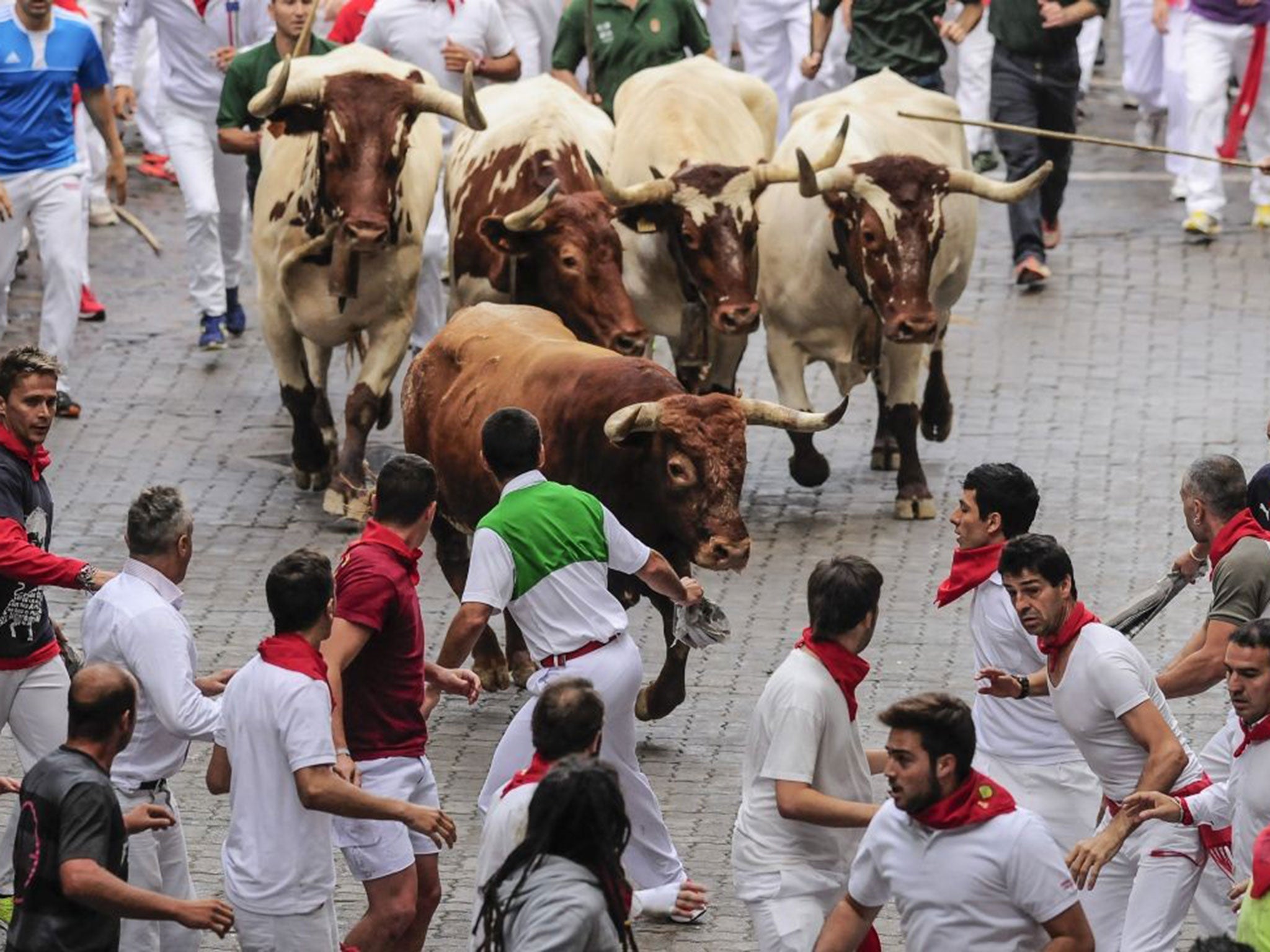 Runners run ahead of a ''Miura'' fighting bull which tossed some runners during the running of the bulls, at the San Fermin festival, in Pamplona, Spain, on Monday, 14 July, 2014