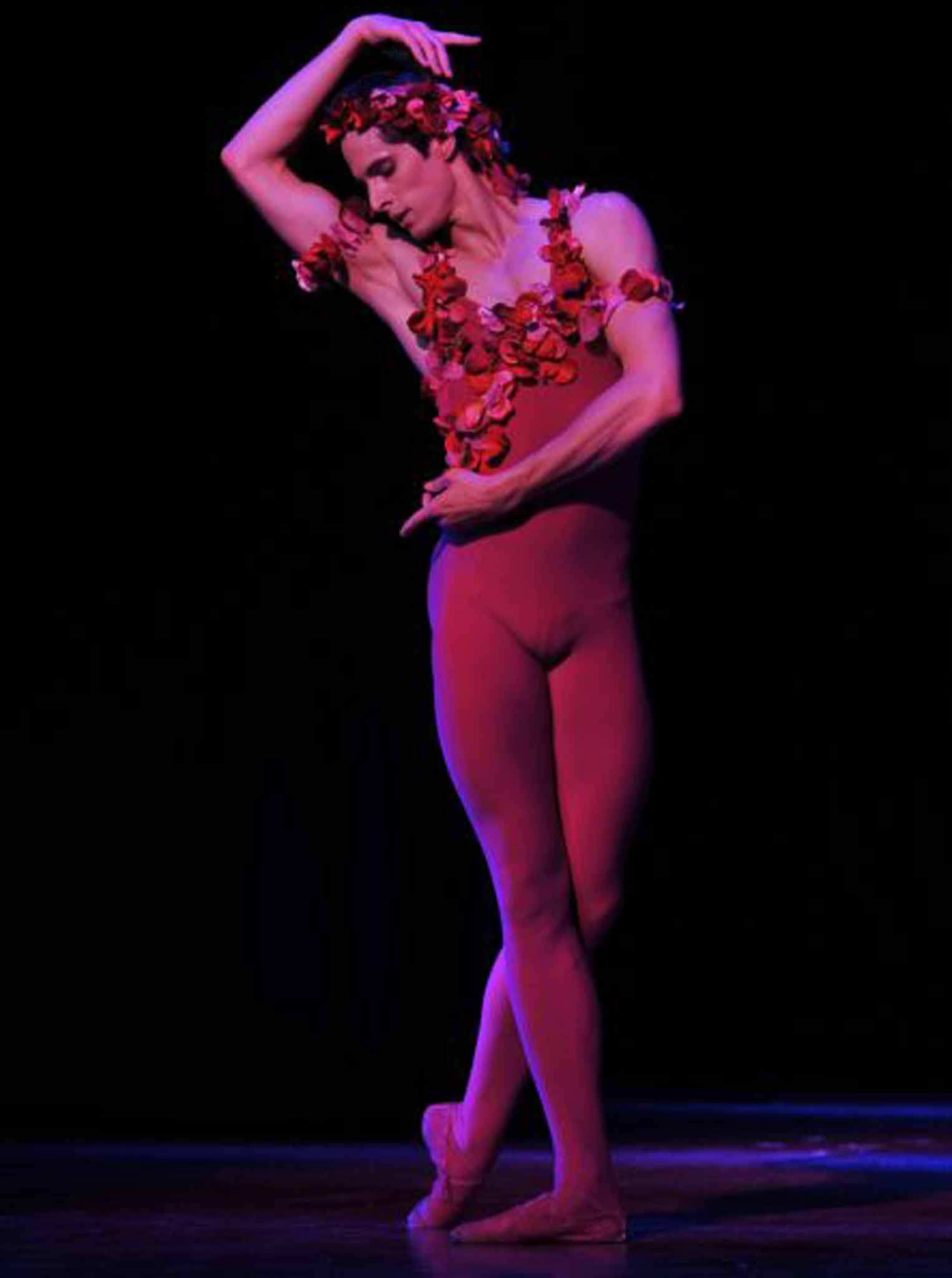 Flower power: Xander Parish performing last year in Michel Fokine's 'Le Spectre de la Rose'