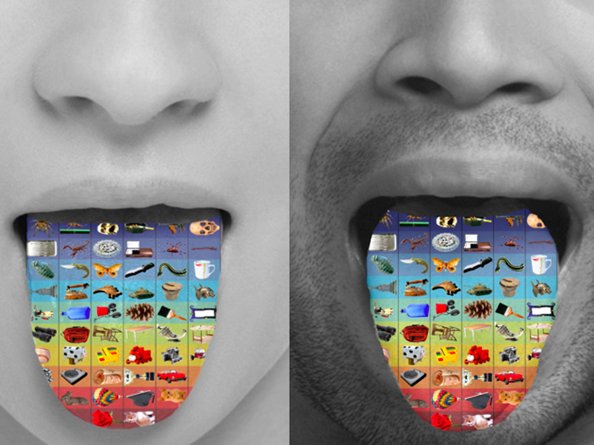 Adam Anderson's study examined subjective perception of visual and gustatory stimuli