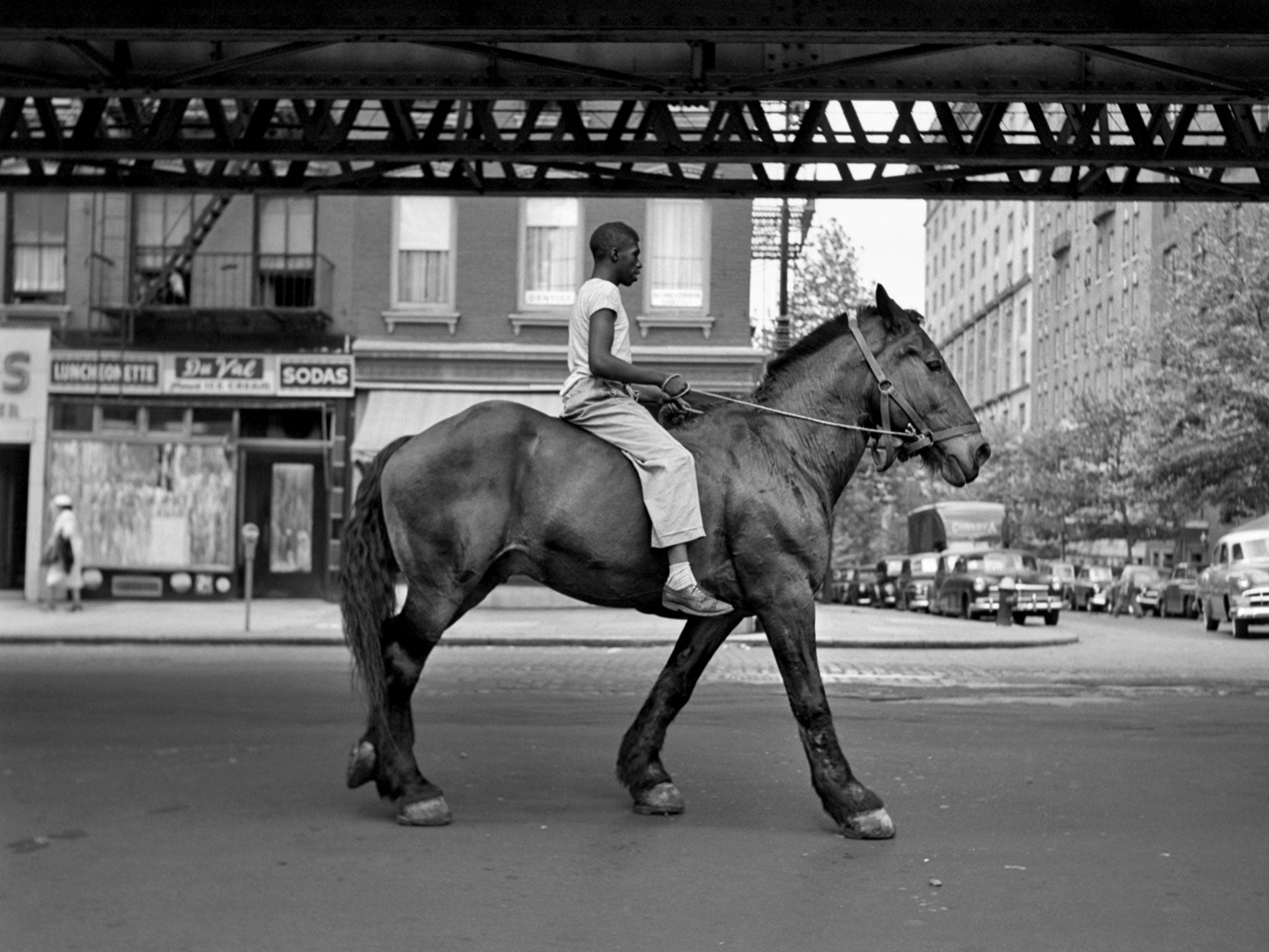 One of Vivian Maier's photographs