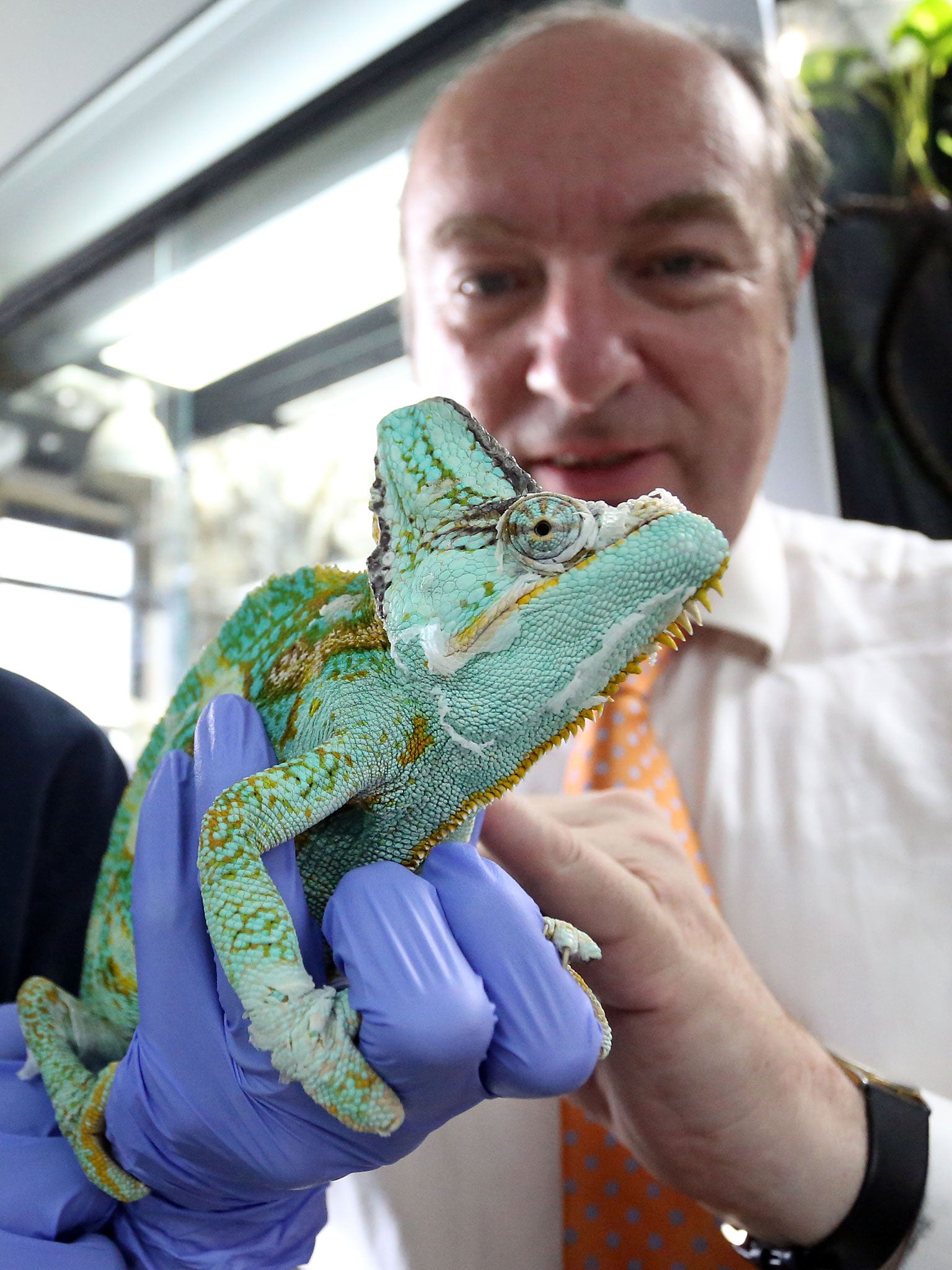 Crime prevention minister Norman Baker with a chameleon at the centre