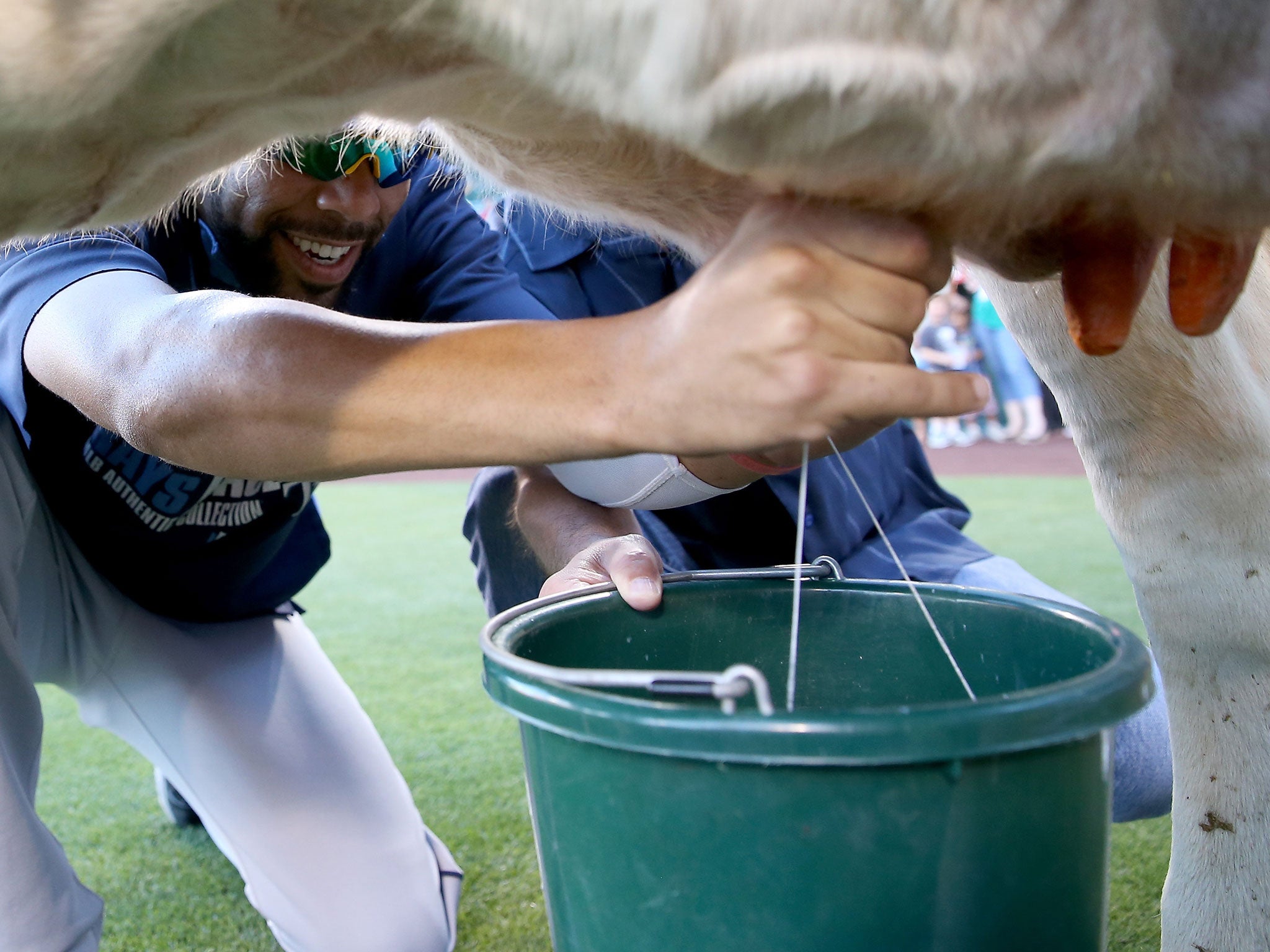 The price of milk paid to farmers has plummeted in the past year