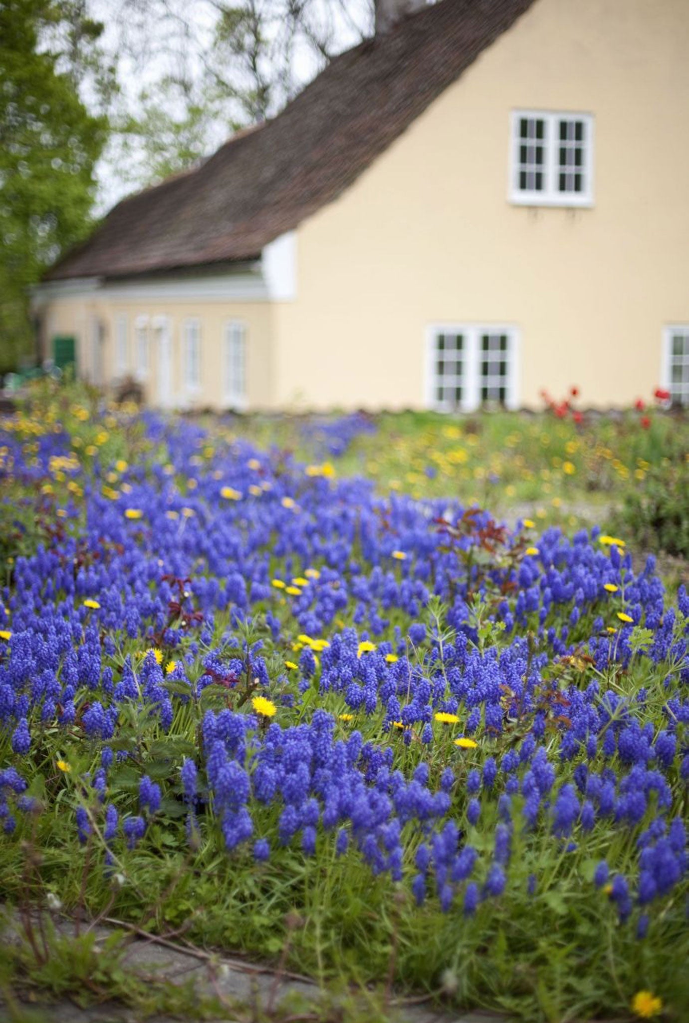 Sell it with flowers: competition is 'intense' for homes with outside spaces