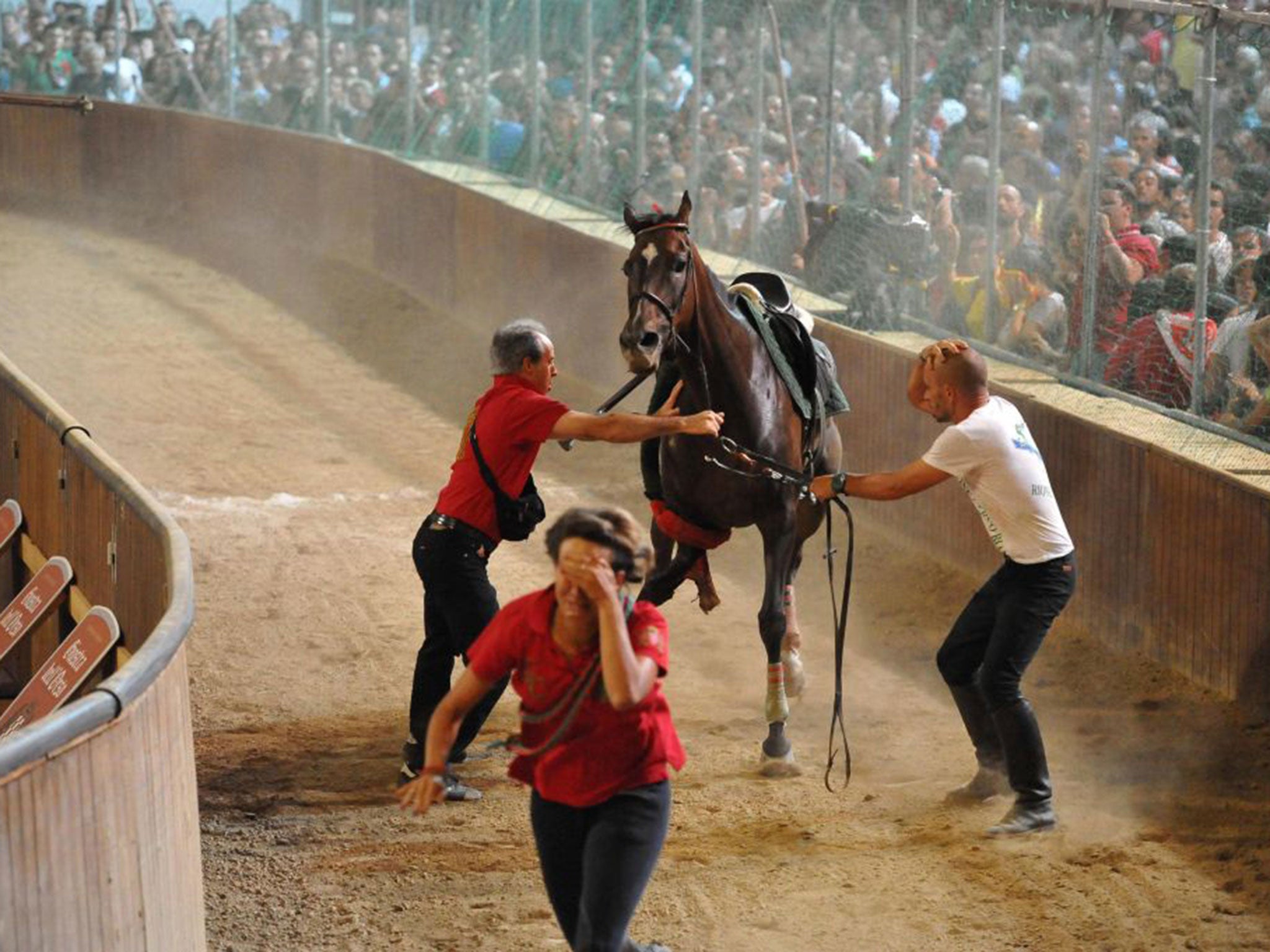 The two horses, Oracle Force and Golden Storming, were quickly destroyed by vets. The riders suffered only minor injuries