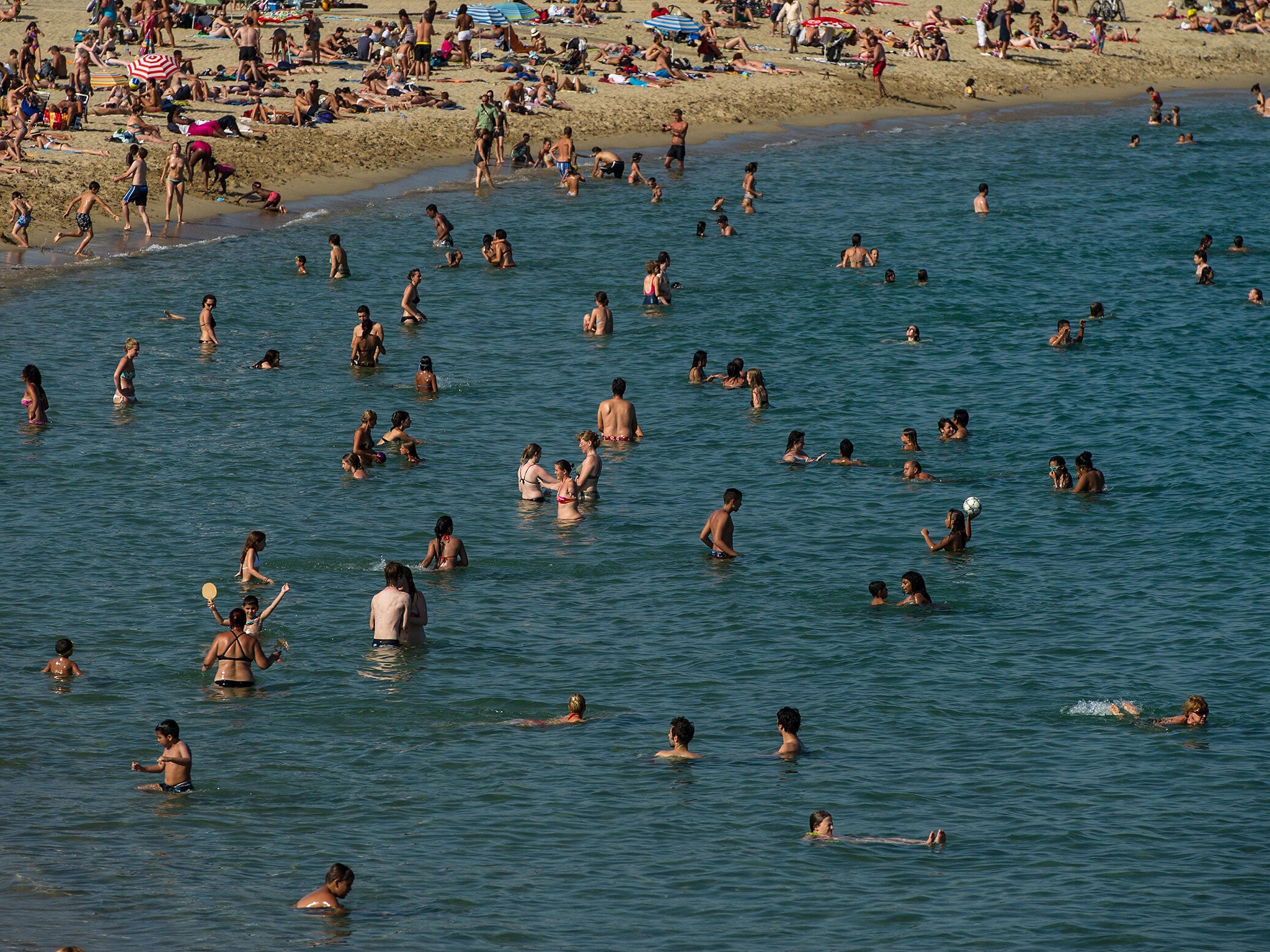 People bathe in Barcelona, where three sharks were seen in July