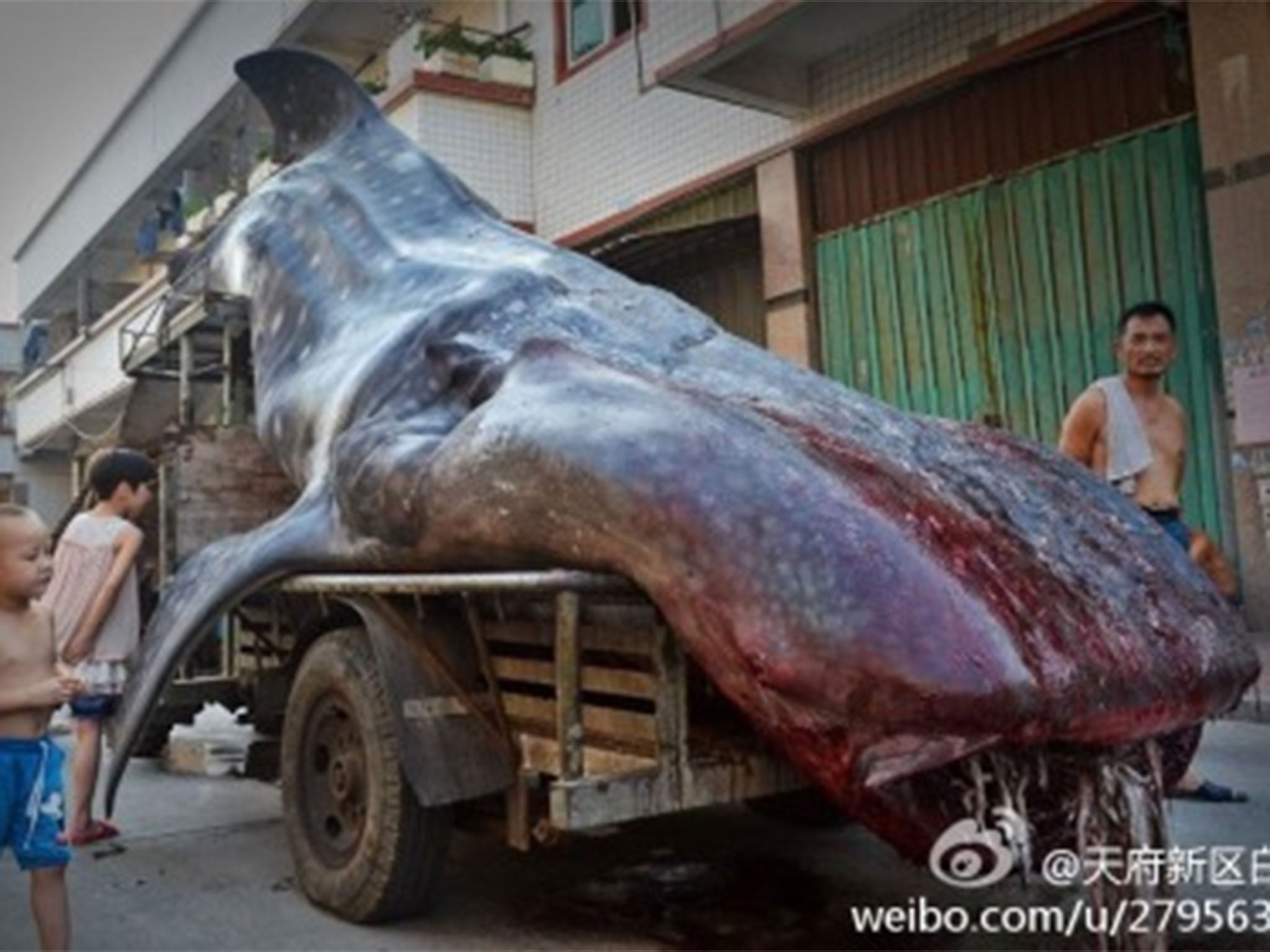 These extraordinary images from the streets of Xiangzhi in Fujian province were posted to Weibo