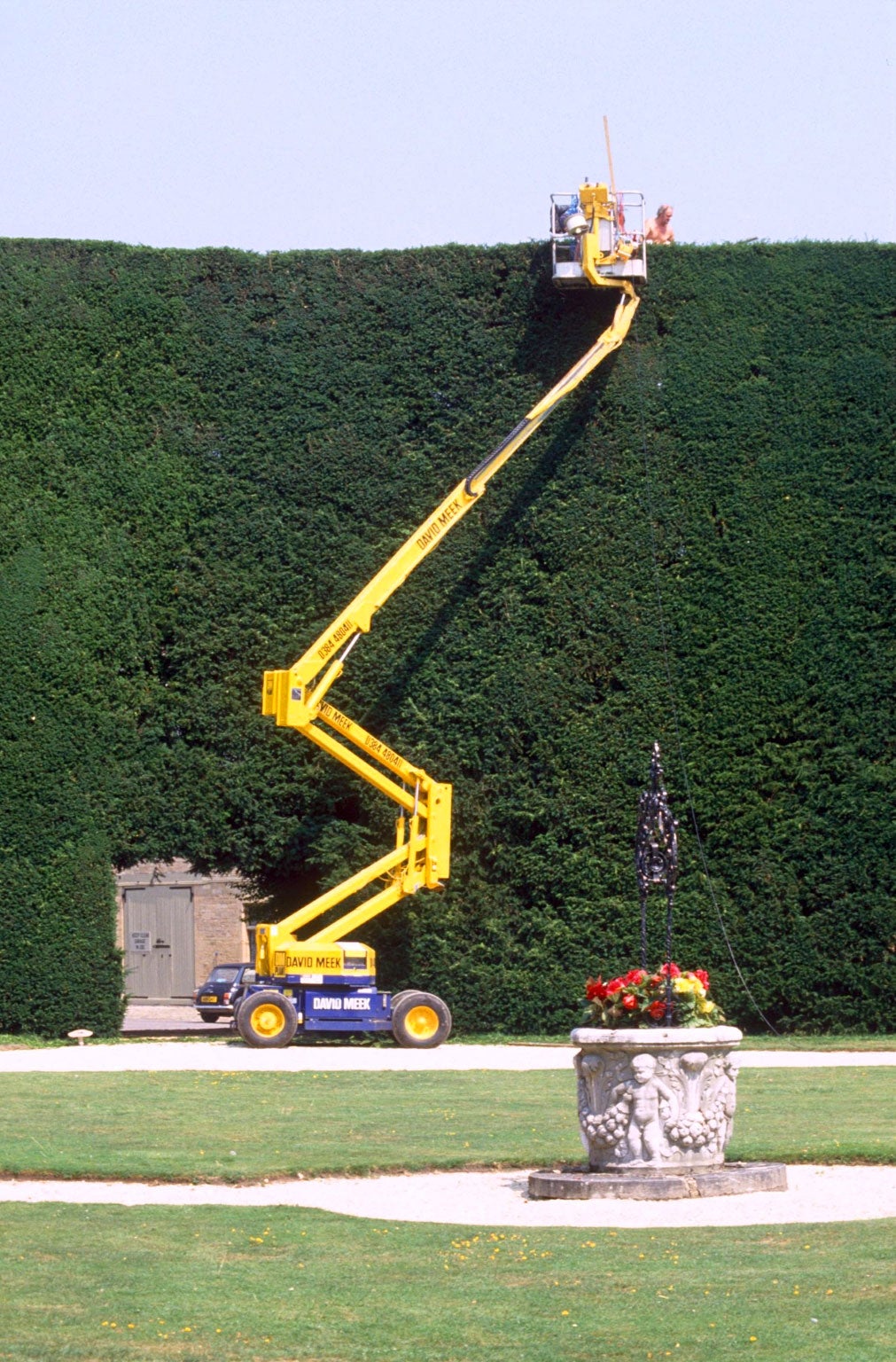 The monster yew-tree hedge on the Bathurst Estate, in Cirencester