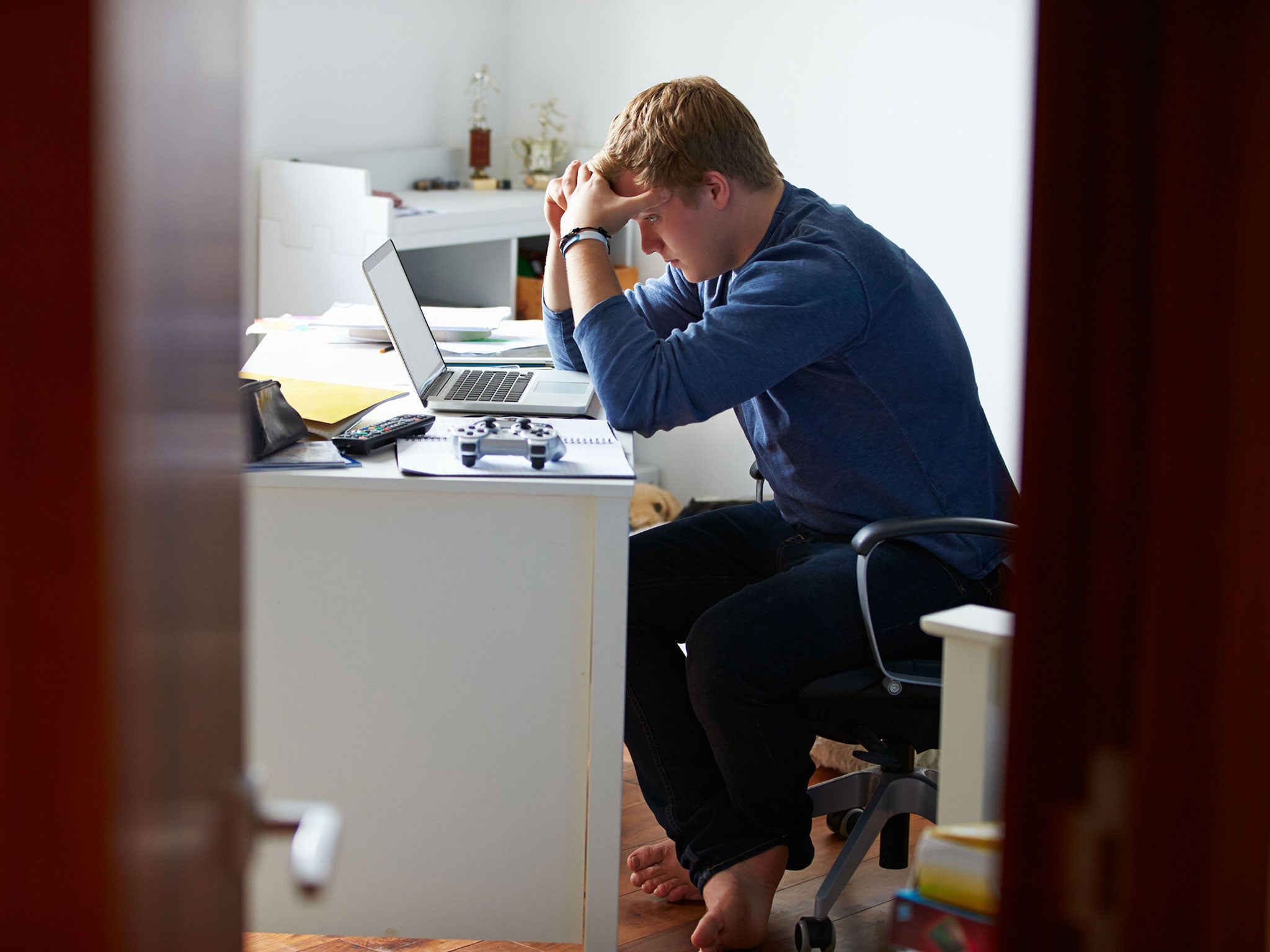 The internet is a 'lawless jungle that will soon be too dangerous for children to use', a former government adviser has warned