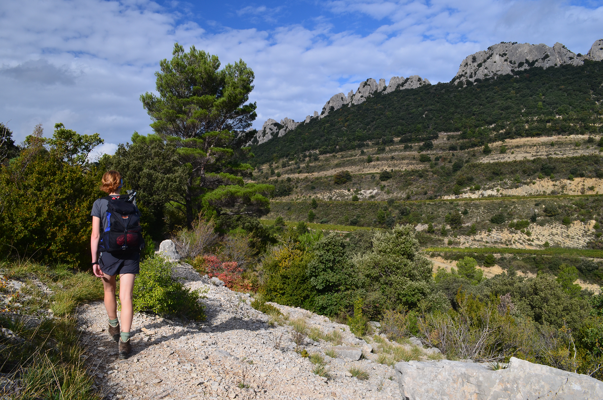Dentelles de Montmirail, France