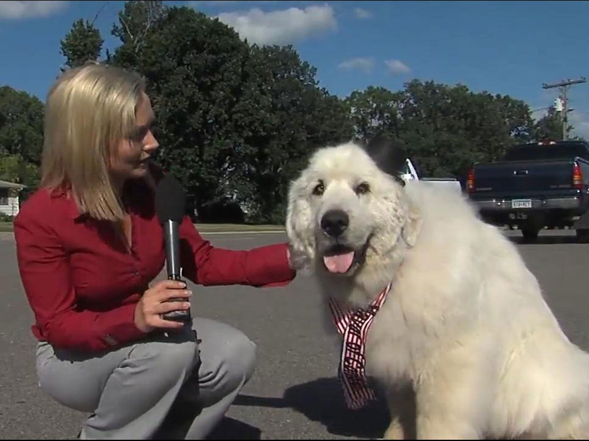 Duke has been elected the new mayor of Cormorant in Minnesota.