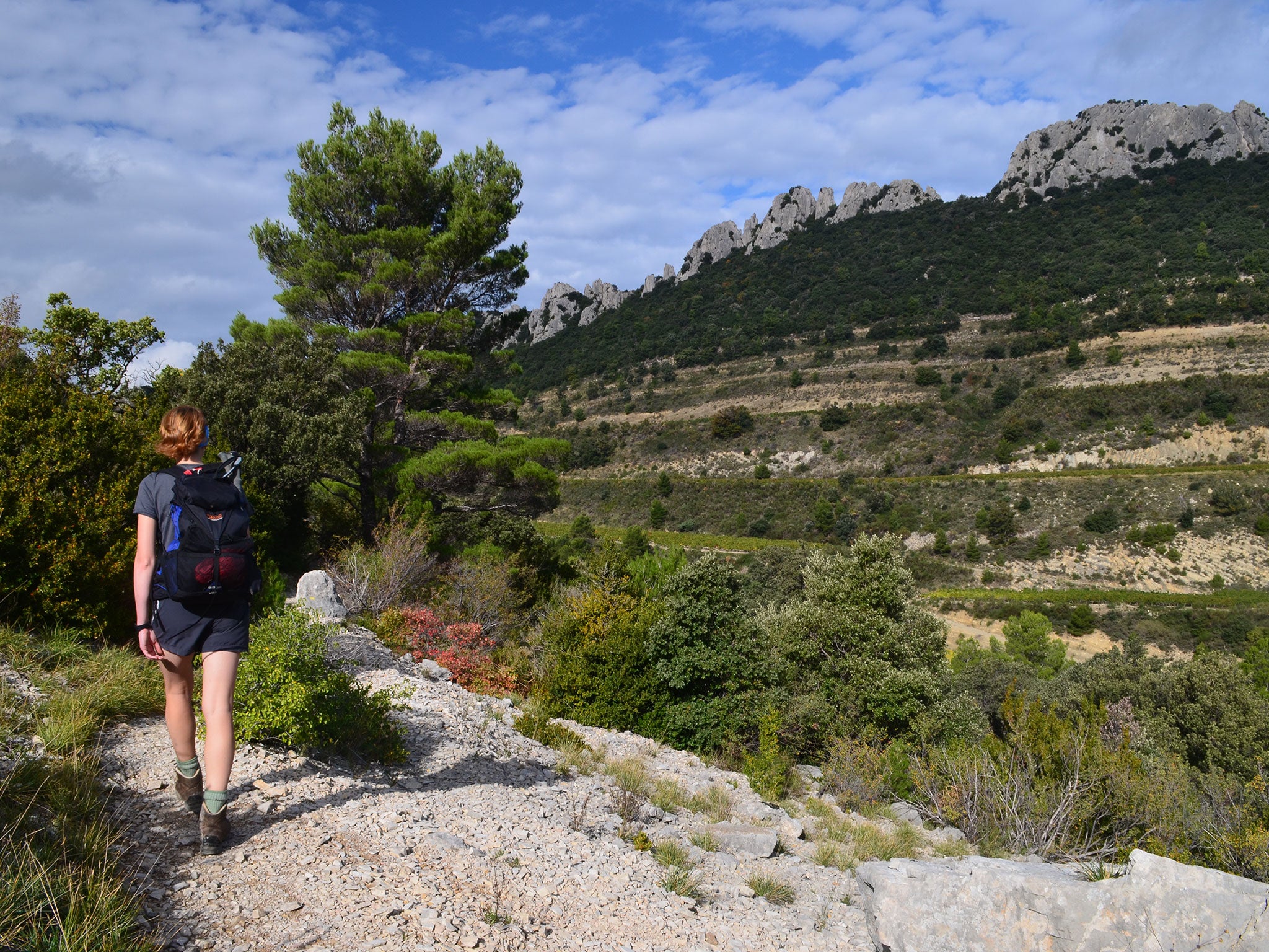 Walk up an appetite: Dentelles de Montmirail