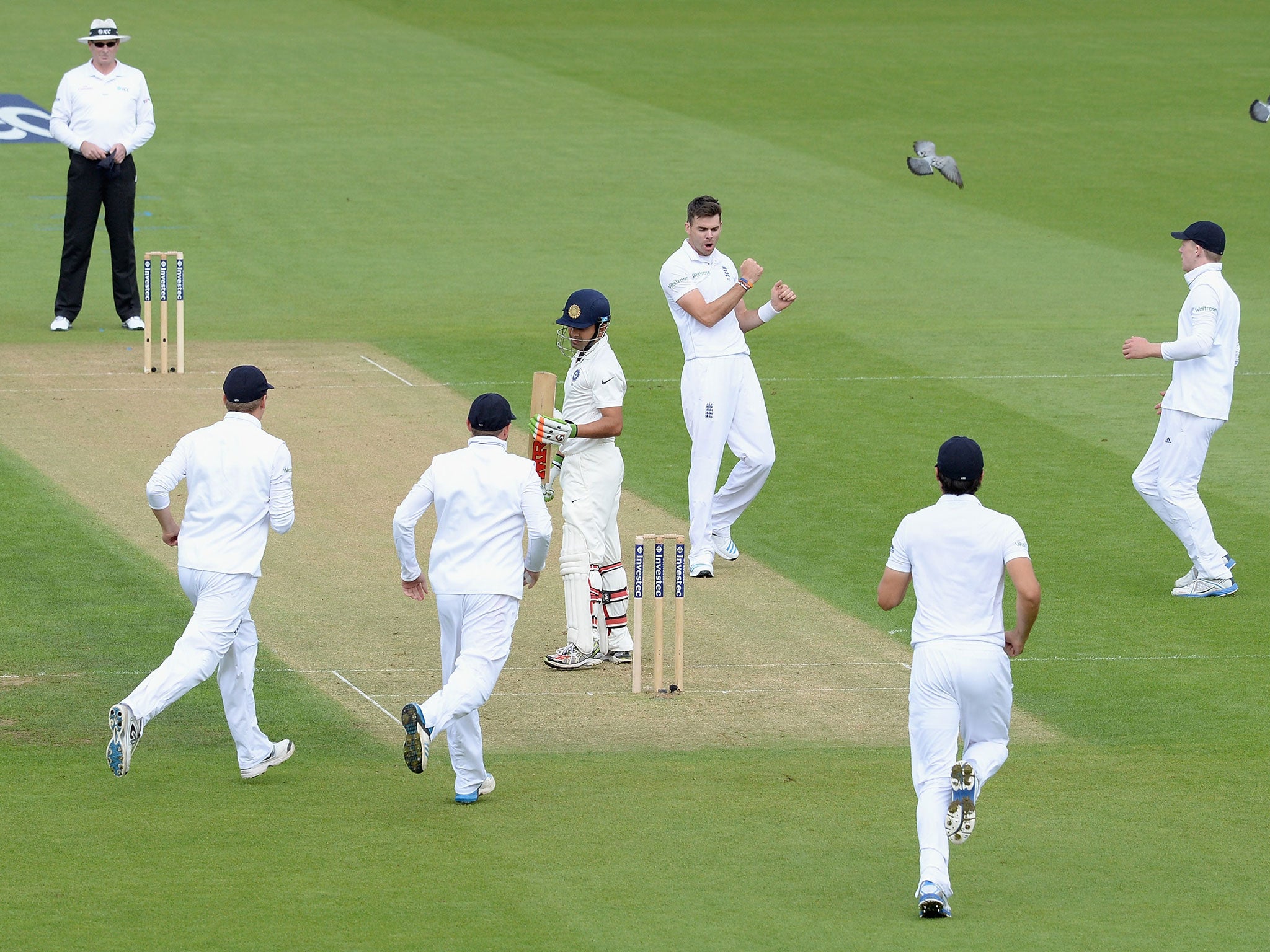 Gautam Gambhir lasted less time in the middle than the pigeons in shot
