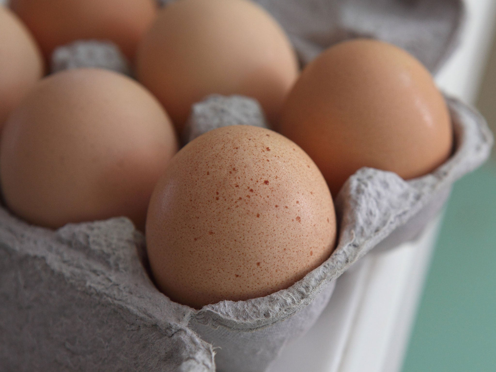 Fresh brown eggs sit in a carton August 26, 2010 in San Rafael, California.