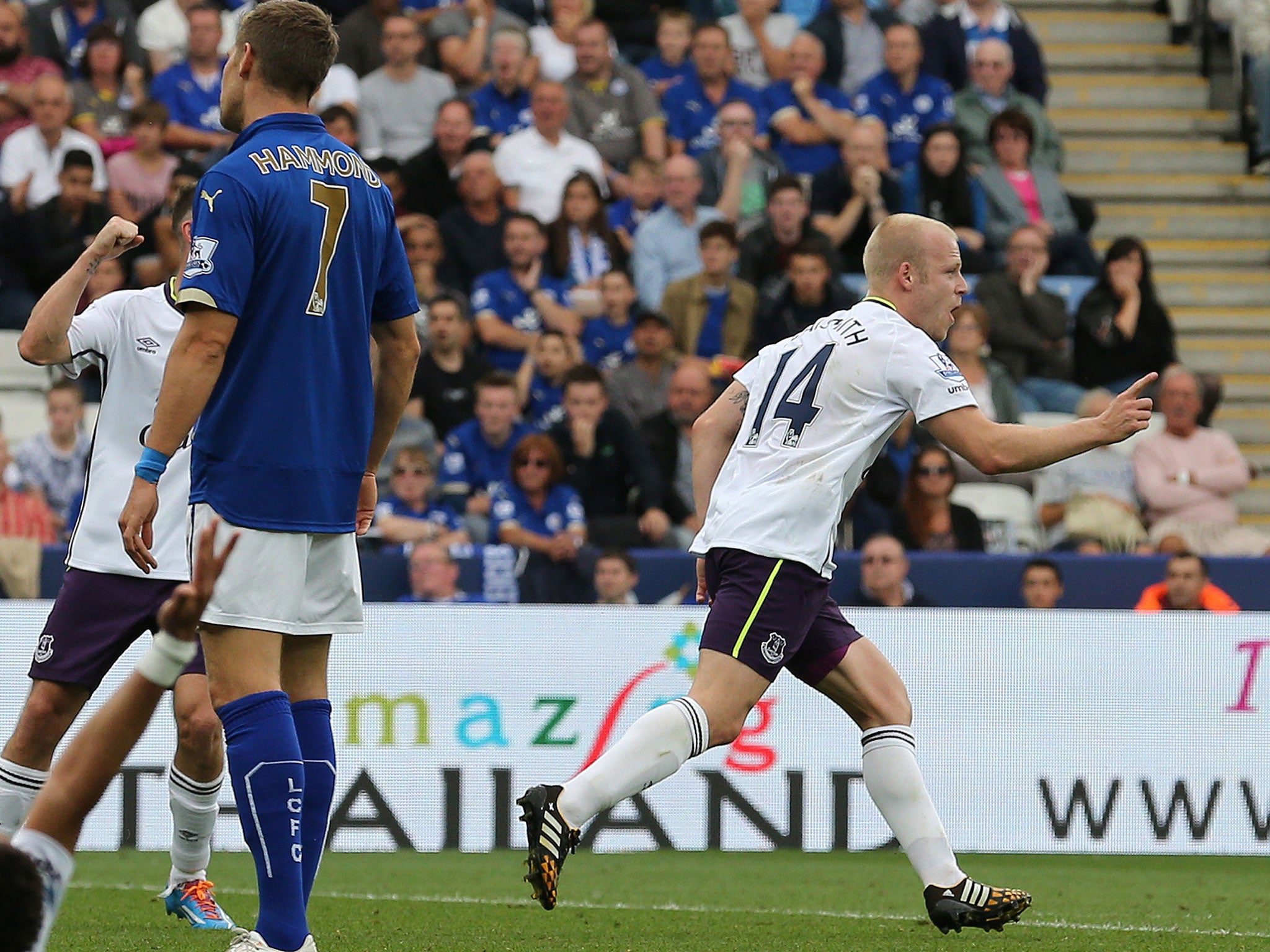 Steven Naismith celebrates after putting the visitors back in the lead against Everton