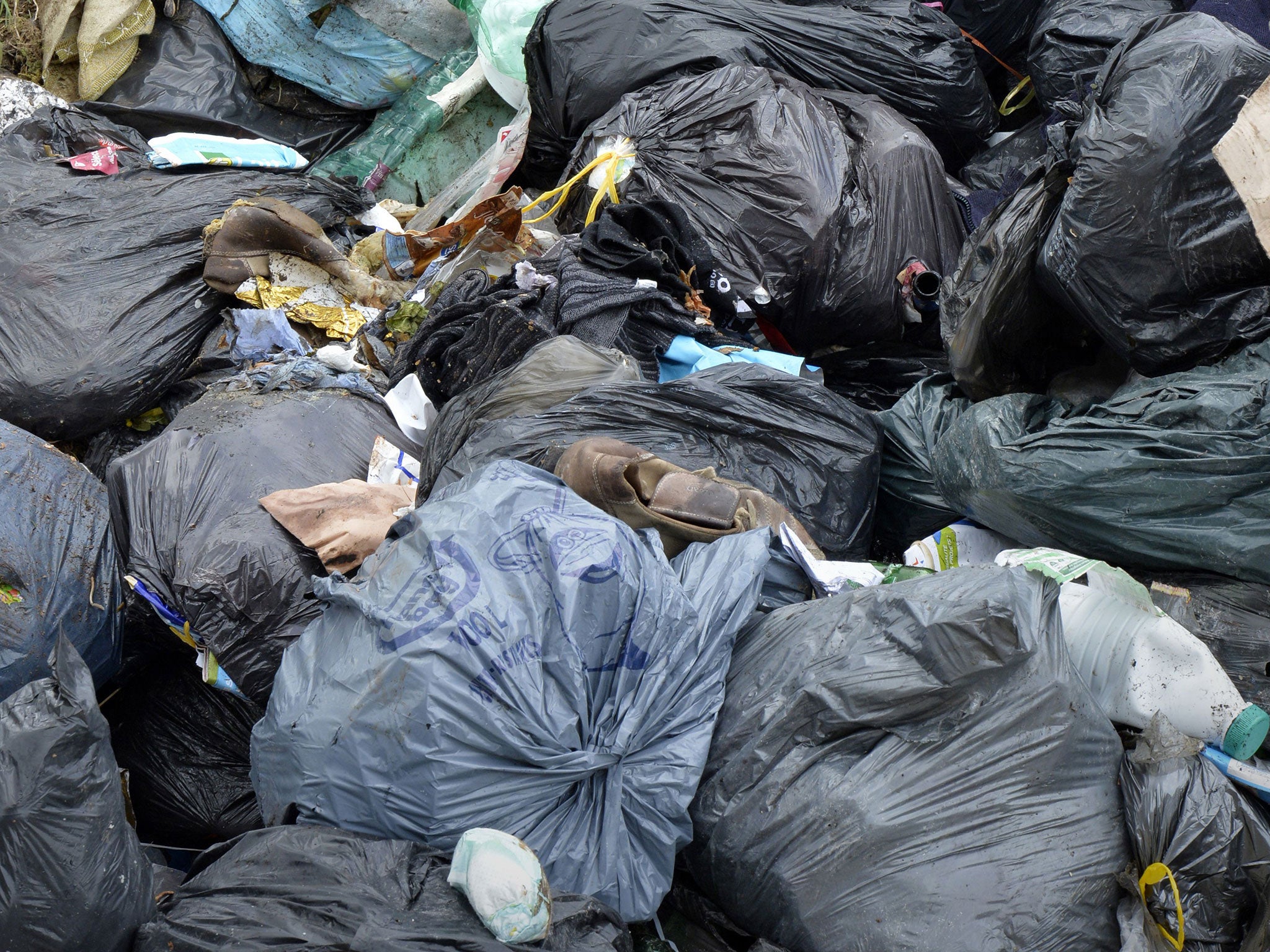 Around four or five cat heads were found in a bin bag in Manchester