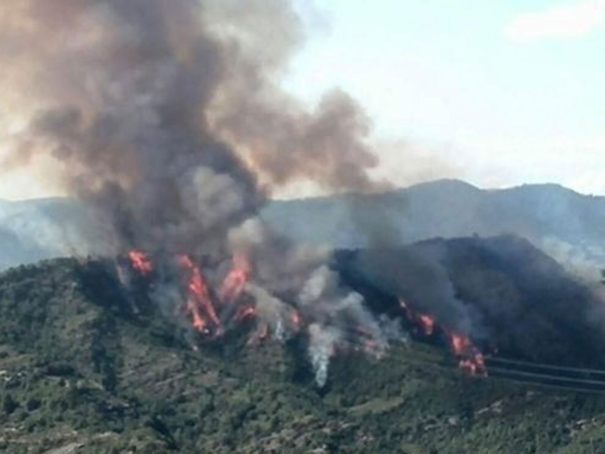 A handout photo provided by Italian Telejournal Tg1 on 19 August 2014 shows the forest fire