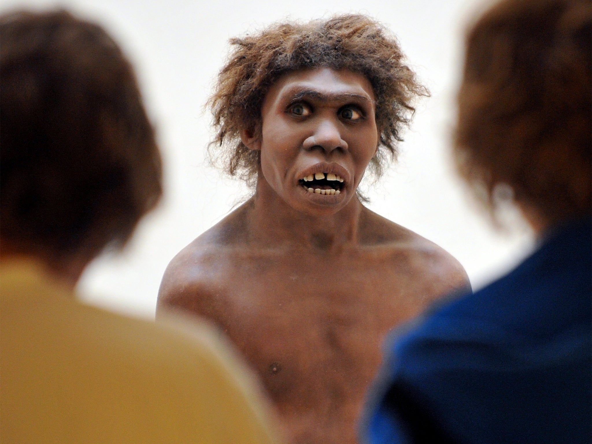 A model of a Neanderthal man on display at the National Museum of Prehistory in Dordogne, France (Getty)