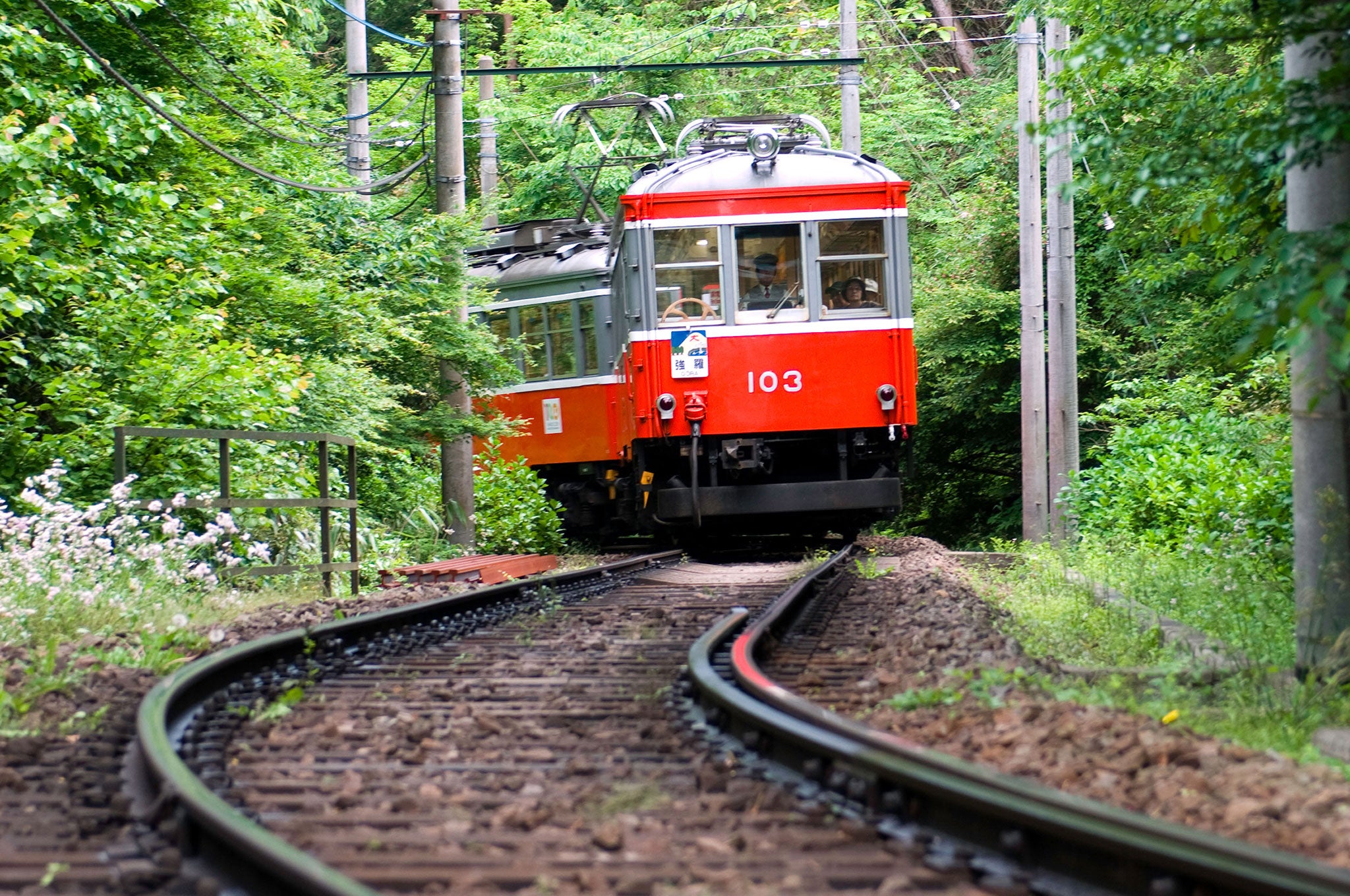 Train going through the forest towards Ashinoko Lake in Hakone Shizuoka, Japan