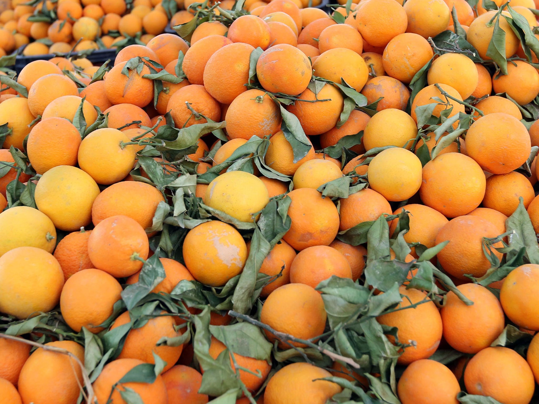 Men in rural South Africa have been accused of killing a man with oranges