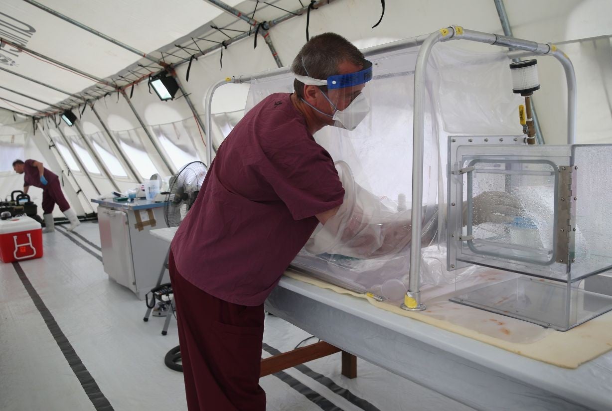 A doctor examines blood samples of Ebola