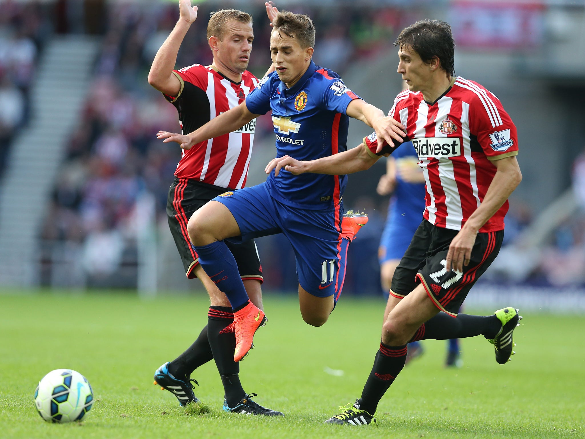 Manchester United's Belgian midfielder Adnan Januzaj in action against Sunderland