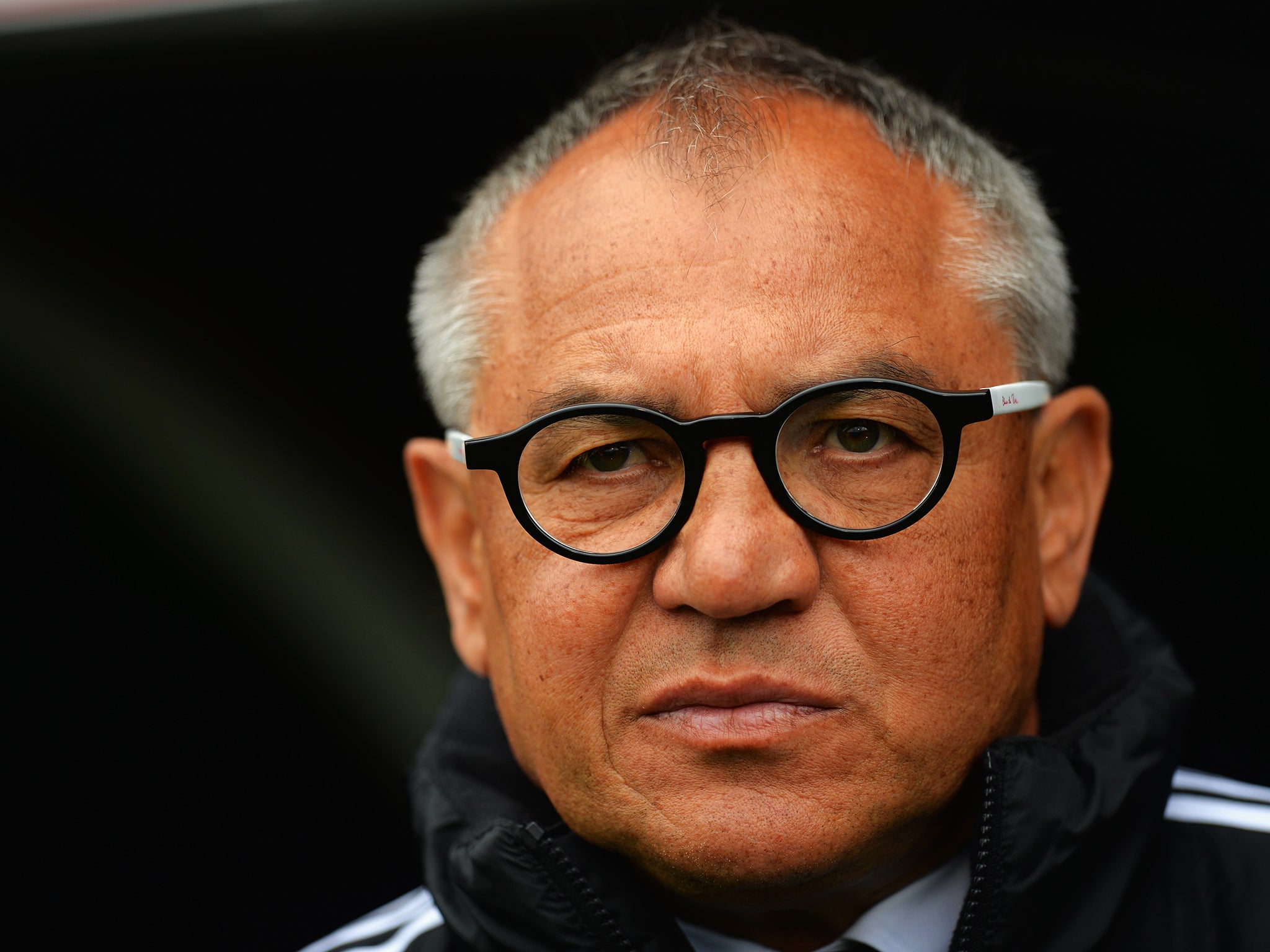 Fulham manager Felix Magath