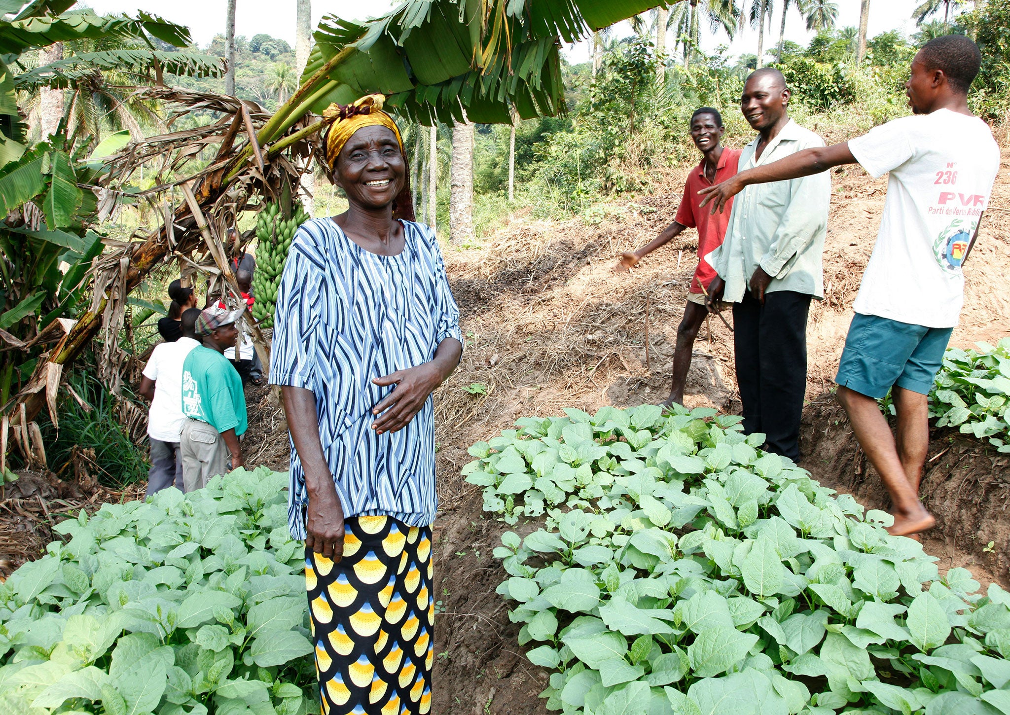 Members of the community farming group at work in their community fields near the town of Masi Manimba, Bandundu Province, DRC.