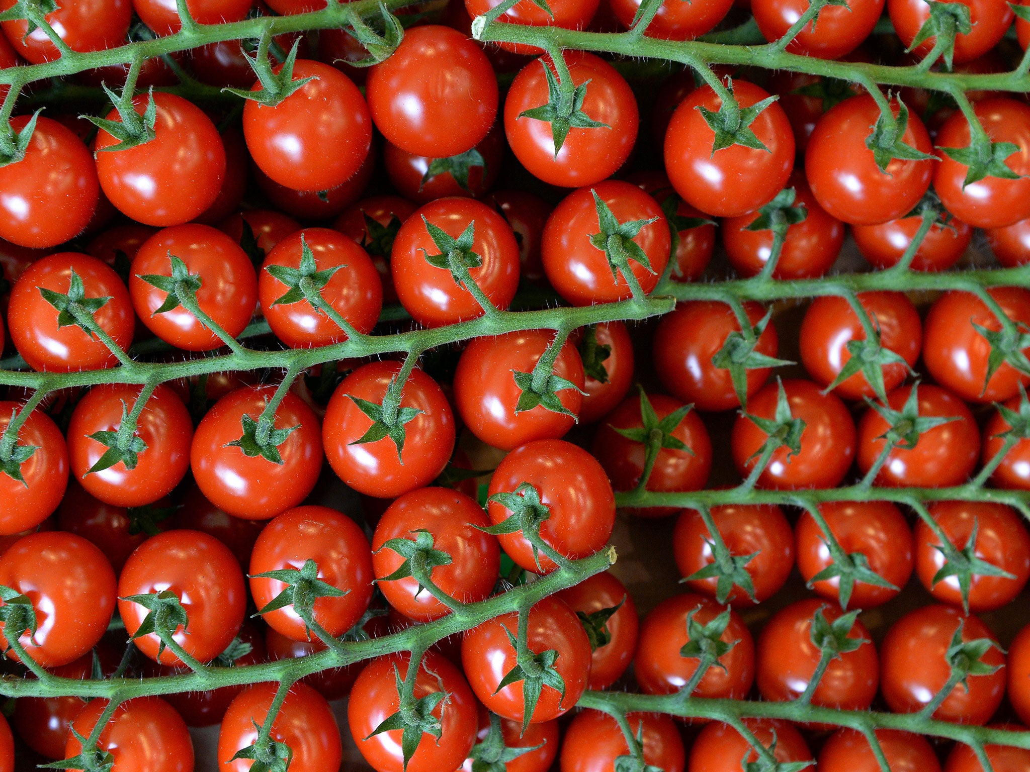 A picture taken on June 13, 2014 shows cherry tomatoes in a local business, in Paris