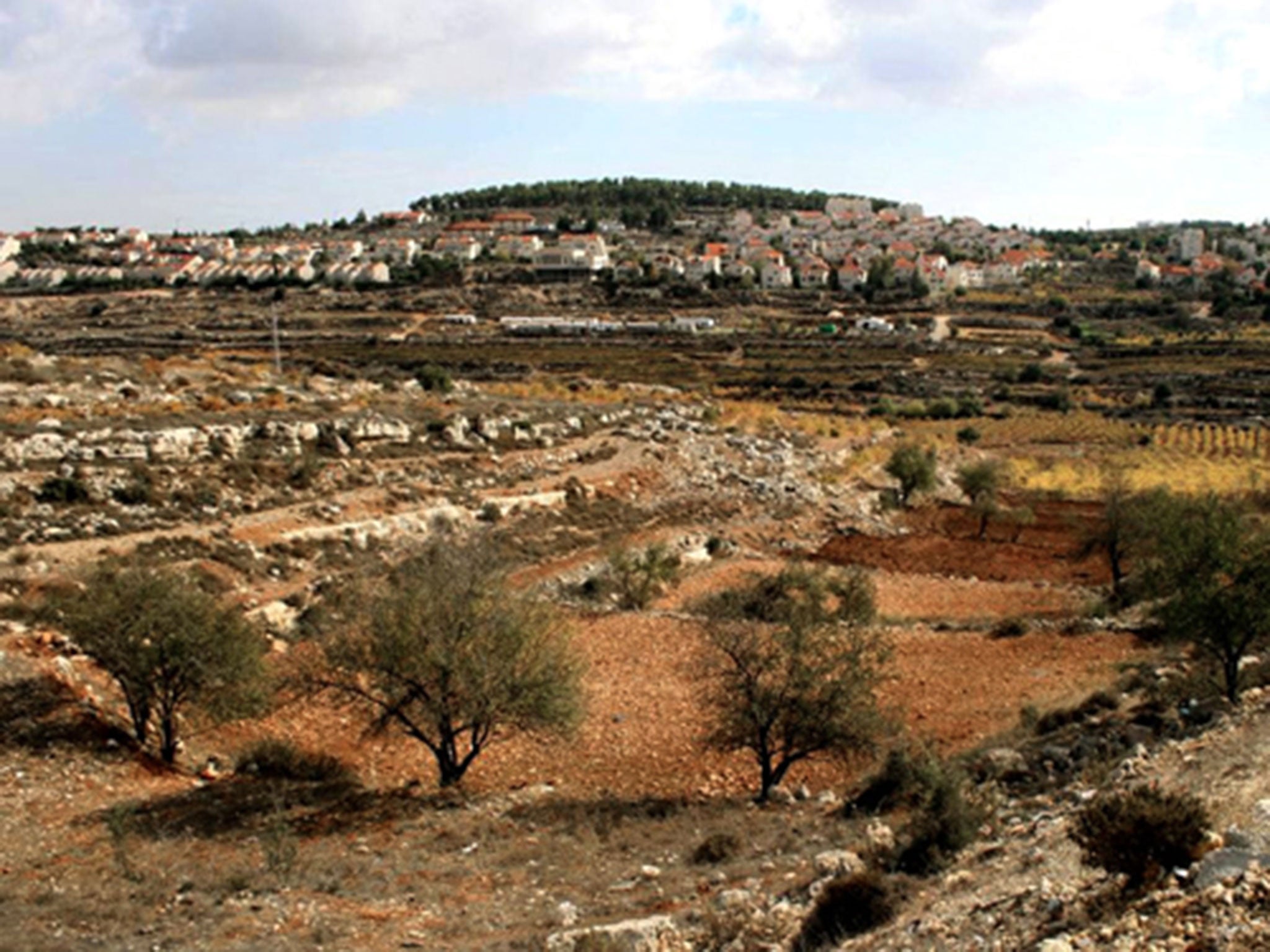 The land to be appropriated is in the Etzion settlement bloc near Bethlehem. Israel has declared it "state land, on the instructions of the political echelon"