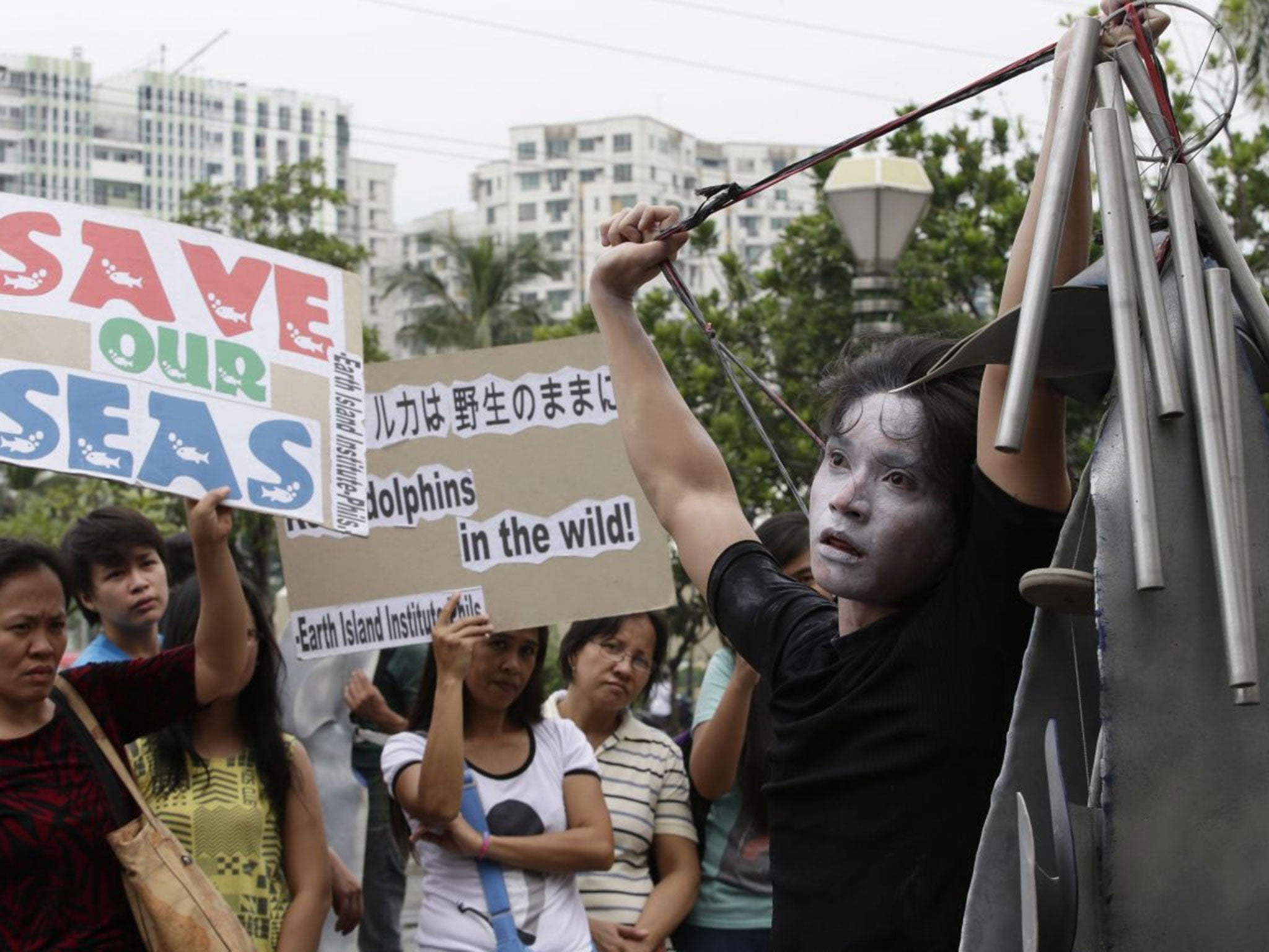 A Japanese stage actor performs during a protest against the alleged Japanese hunting of dolphins in Taiji, Japan