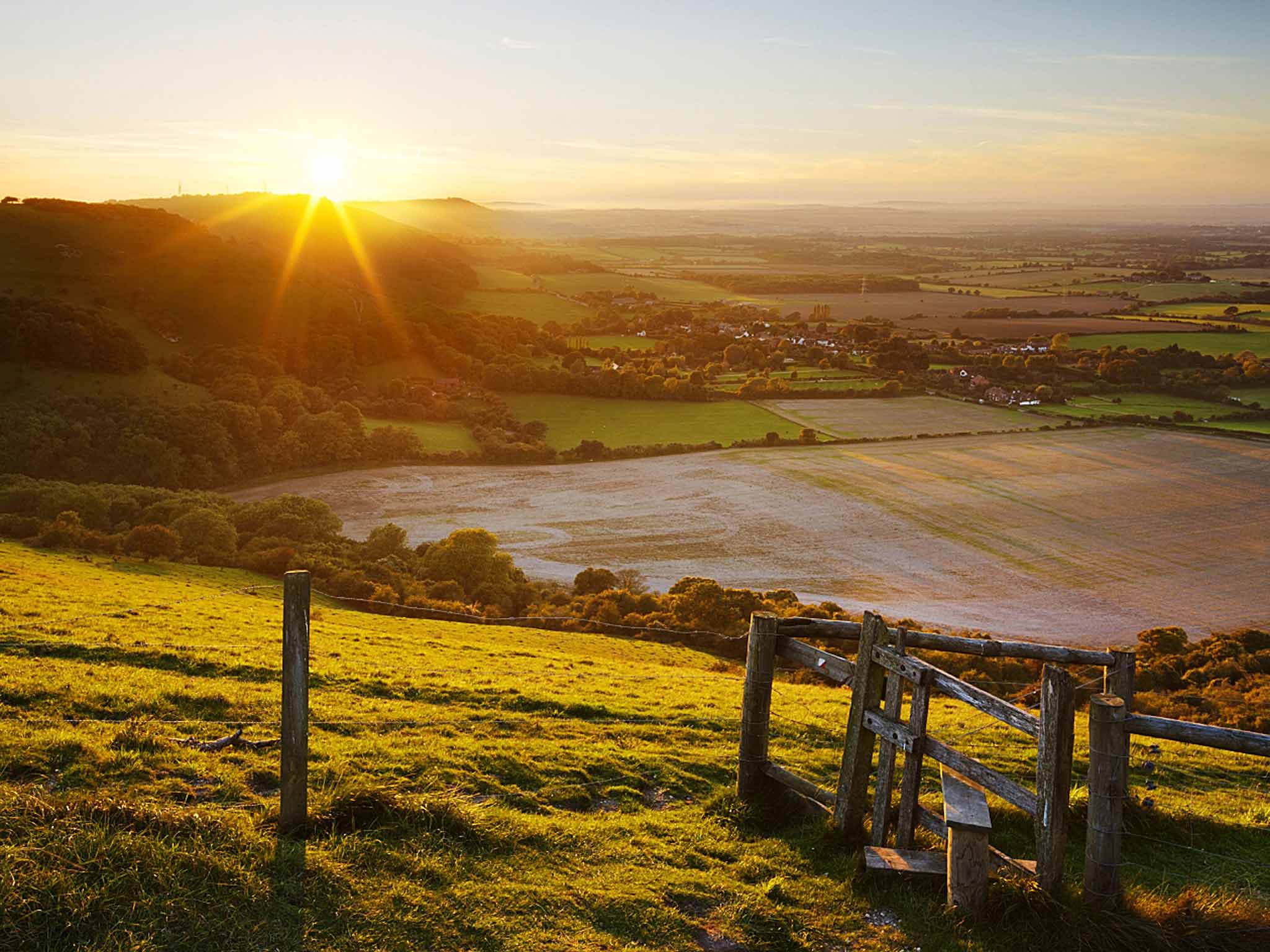 The longer David Sedaris had his Fitbit, the further afield his walks took him through the West Sussex countryside