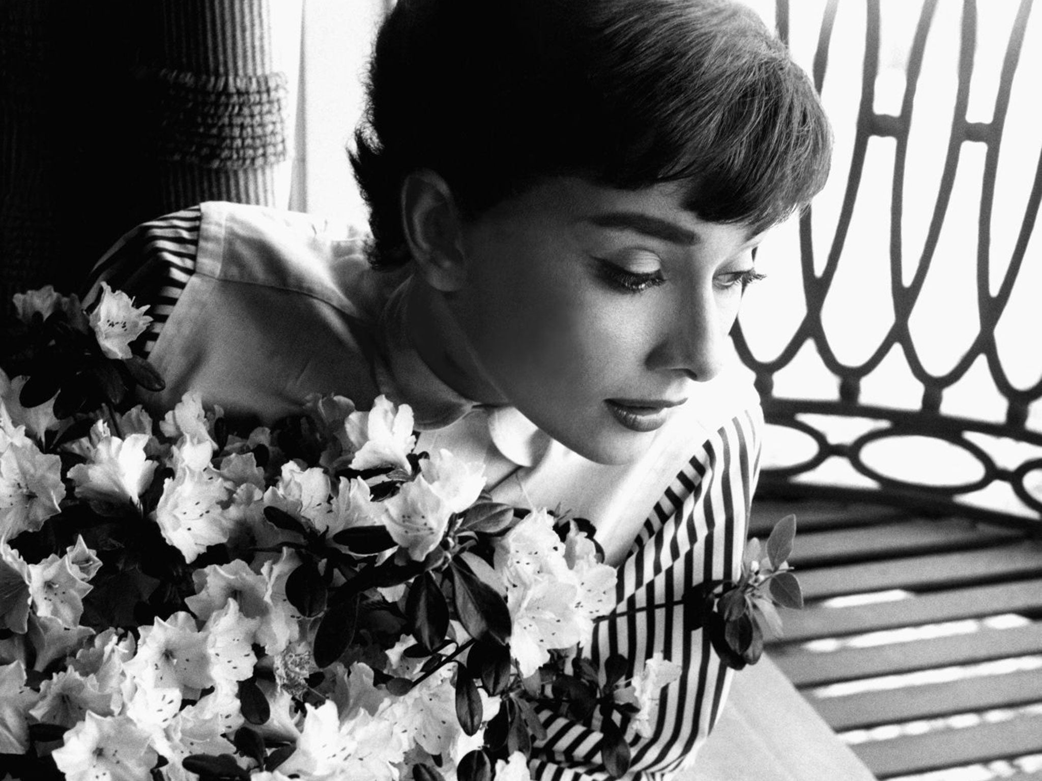 Audrey Hepburn in 1953