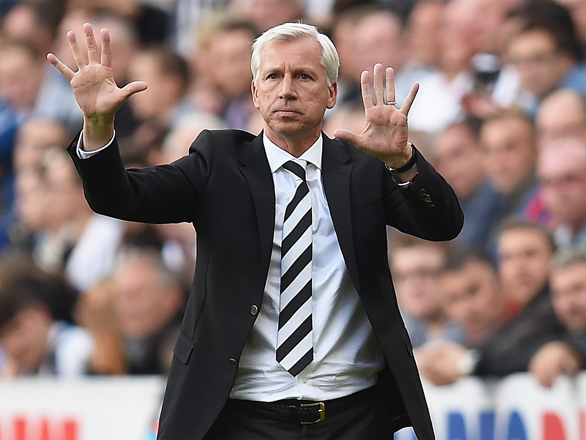 Newcastle manager Alan Pardew