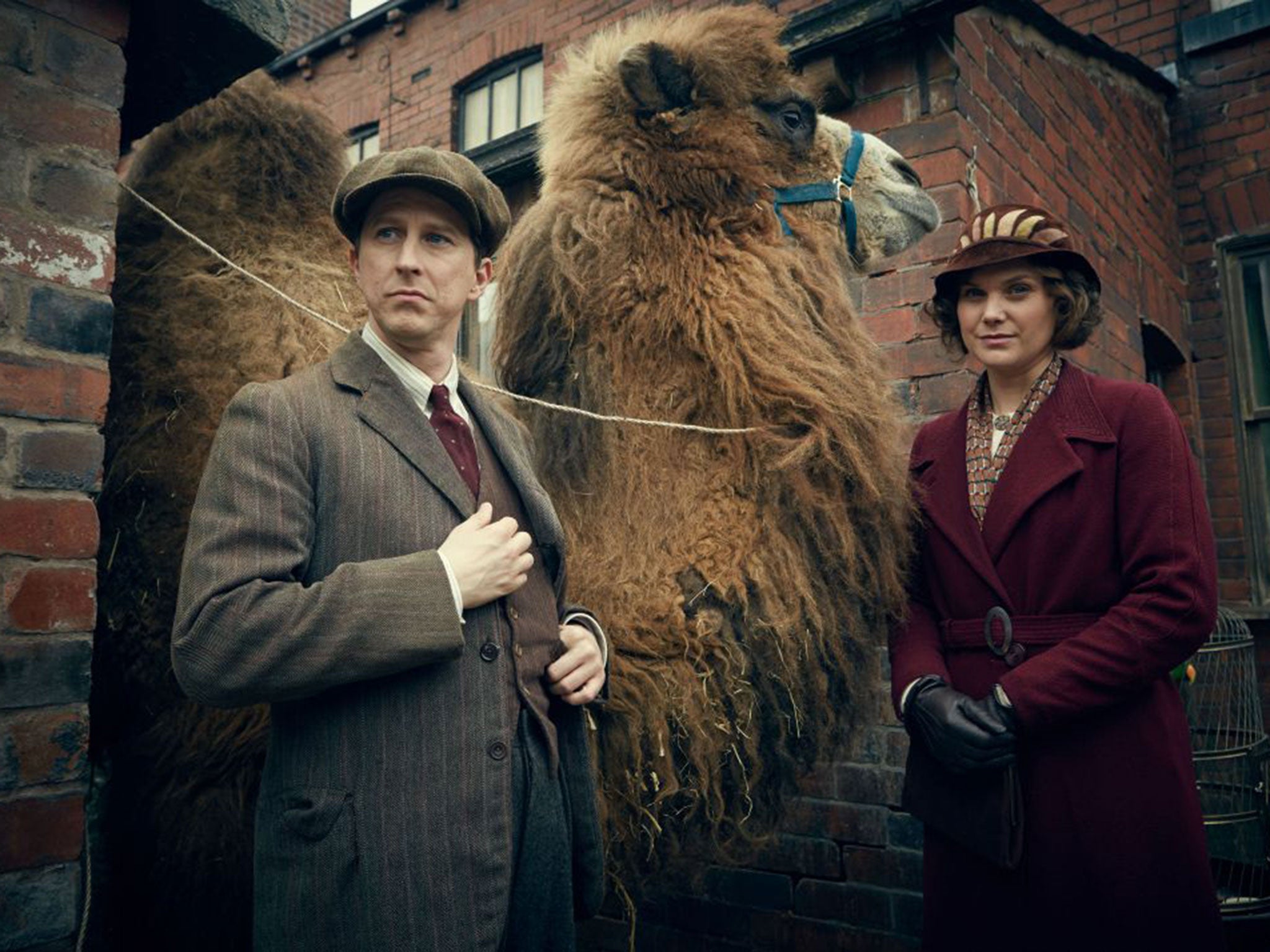 Going wild: Lee Ingleby and Liz White in ‘Our Zoo’