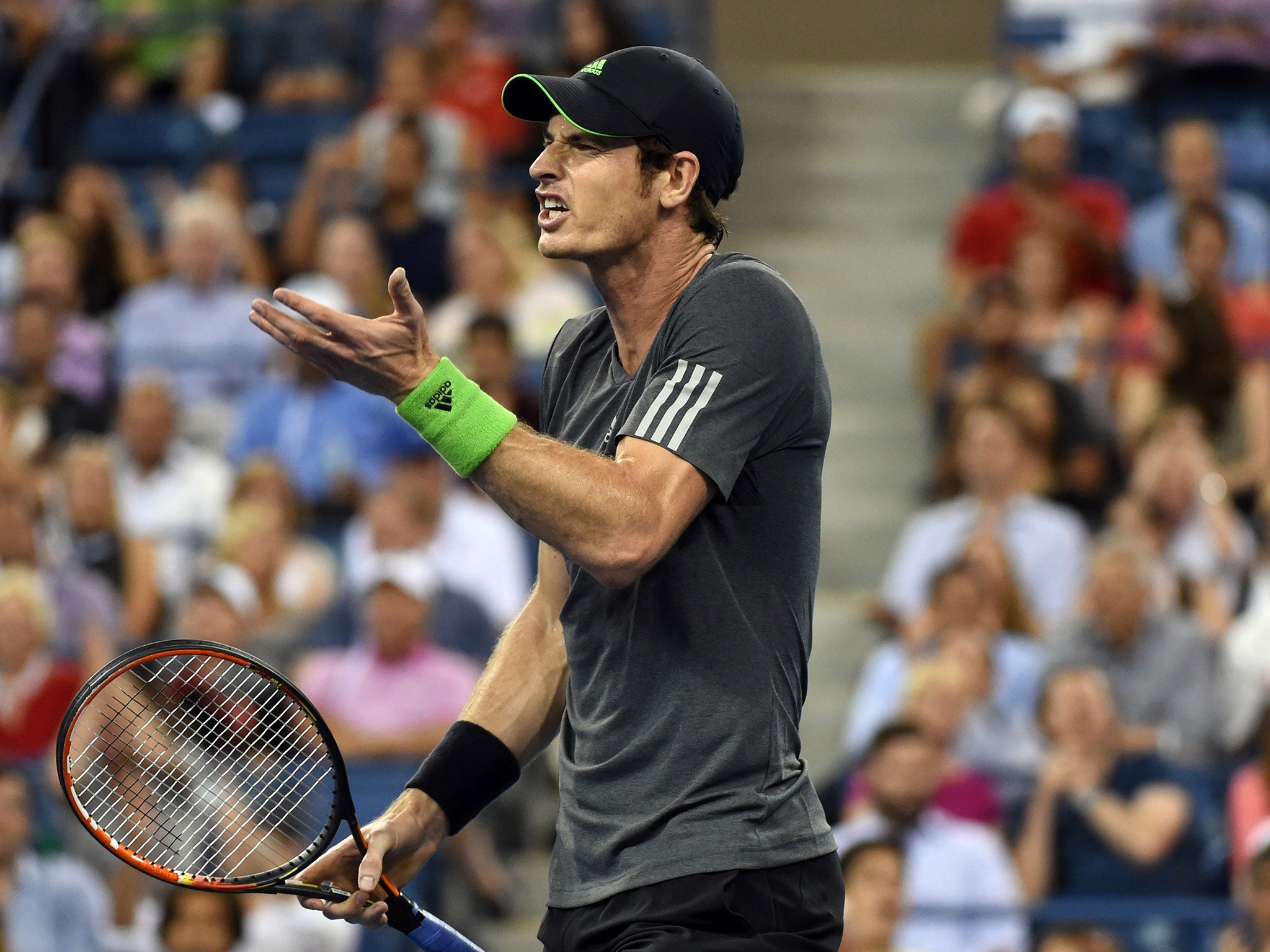 Murray reacts to a decision against Djokovic