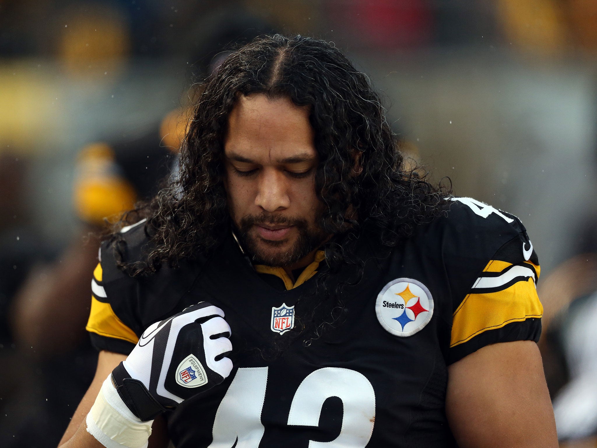 Pittsburgh Steelers veteran Troy Polamalu