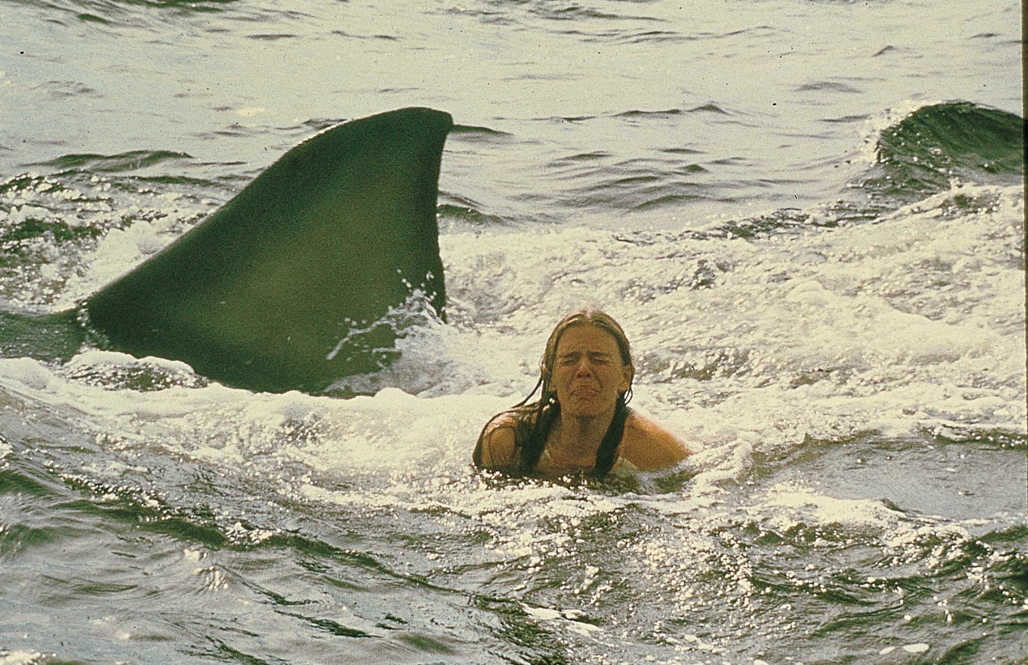 Bite back: happy anniversary Jaws (Universal Archives/ Krause &amp; Johansen)