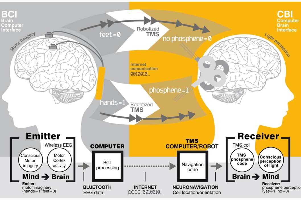 A graphic showing how the experiment was set up. Image credit: PLOS One.