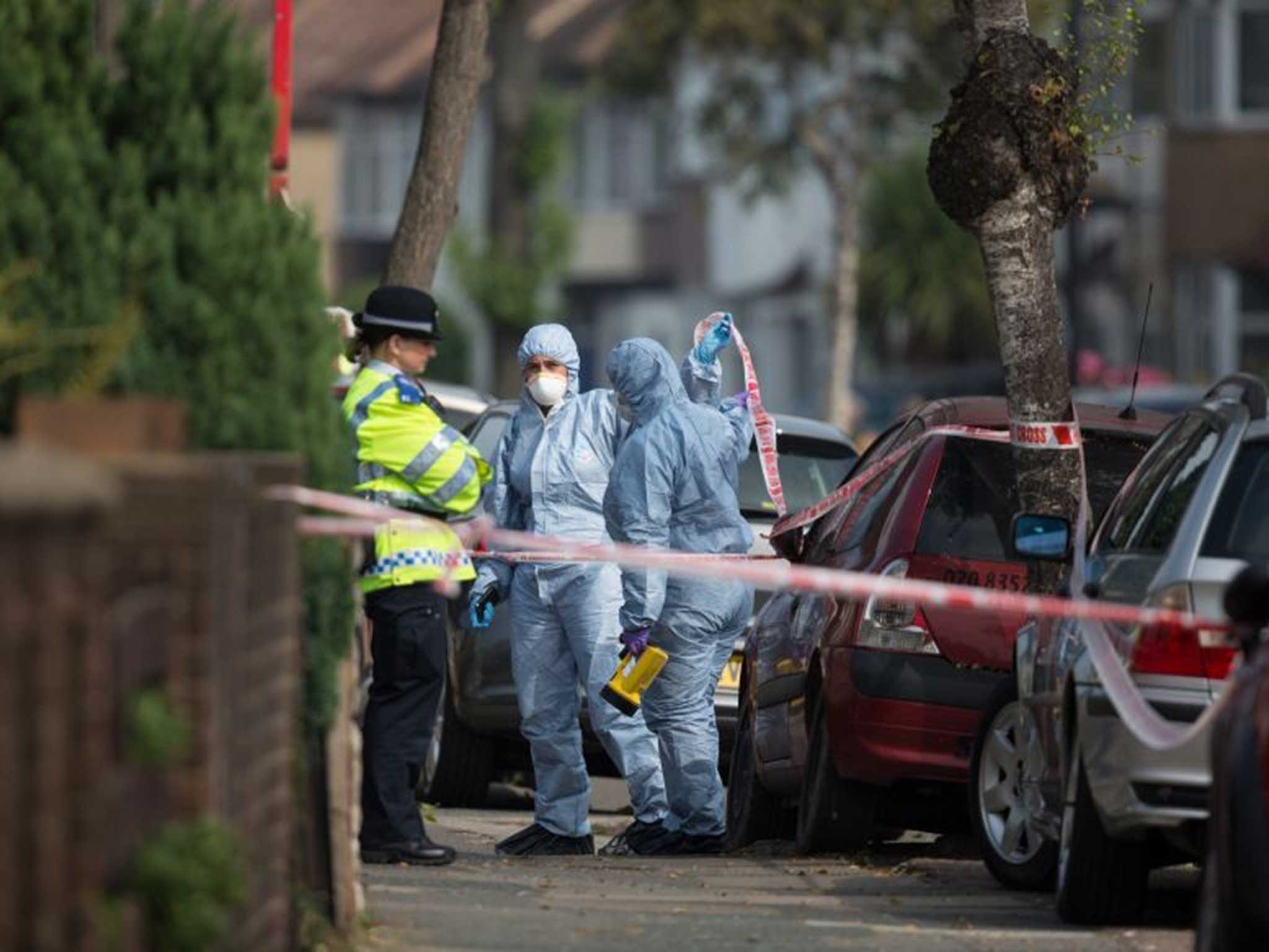 Forensic investigators prepare to examine a property in Edmonton