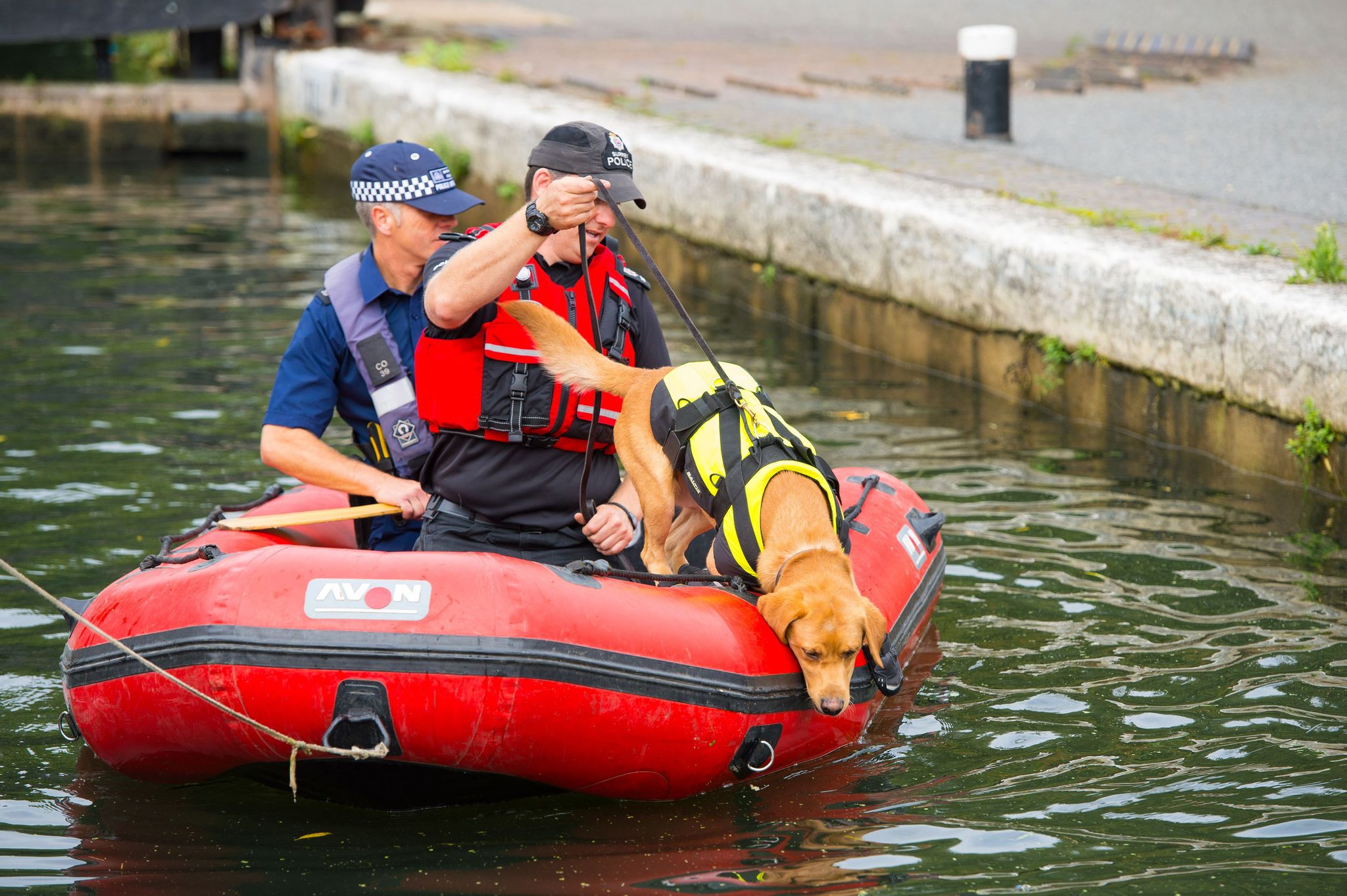 Police search the River Brent, near Hanwell, west London, today