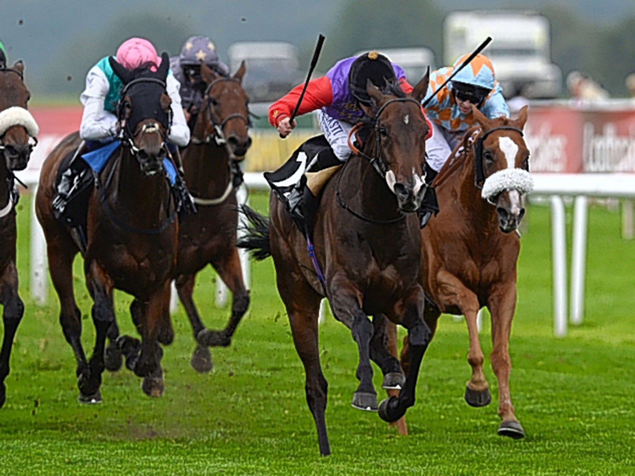 The Queen’s horse Estimate wins the Doncaster Cup on Friday