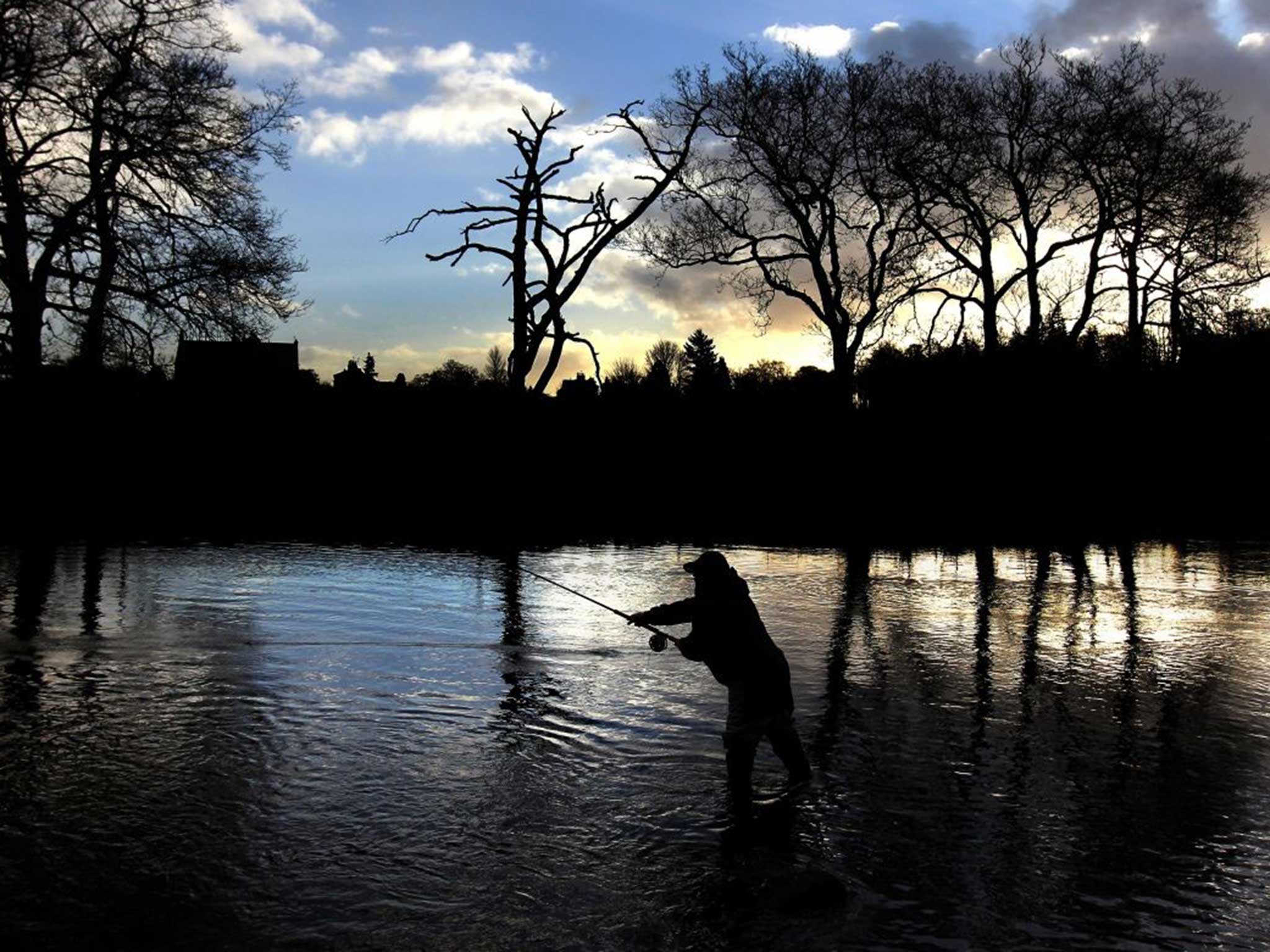 Fishing on the River Teith