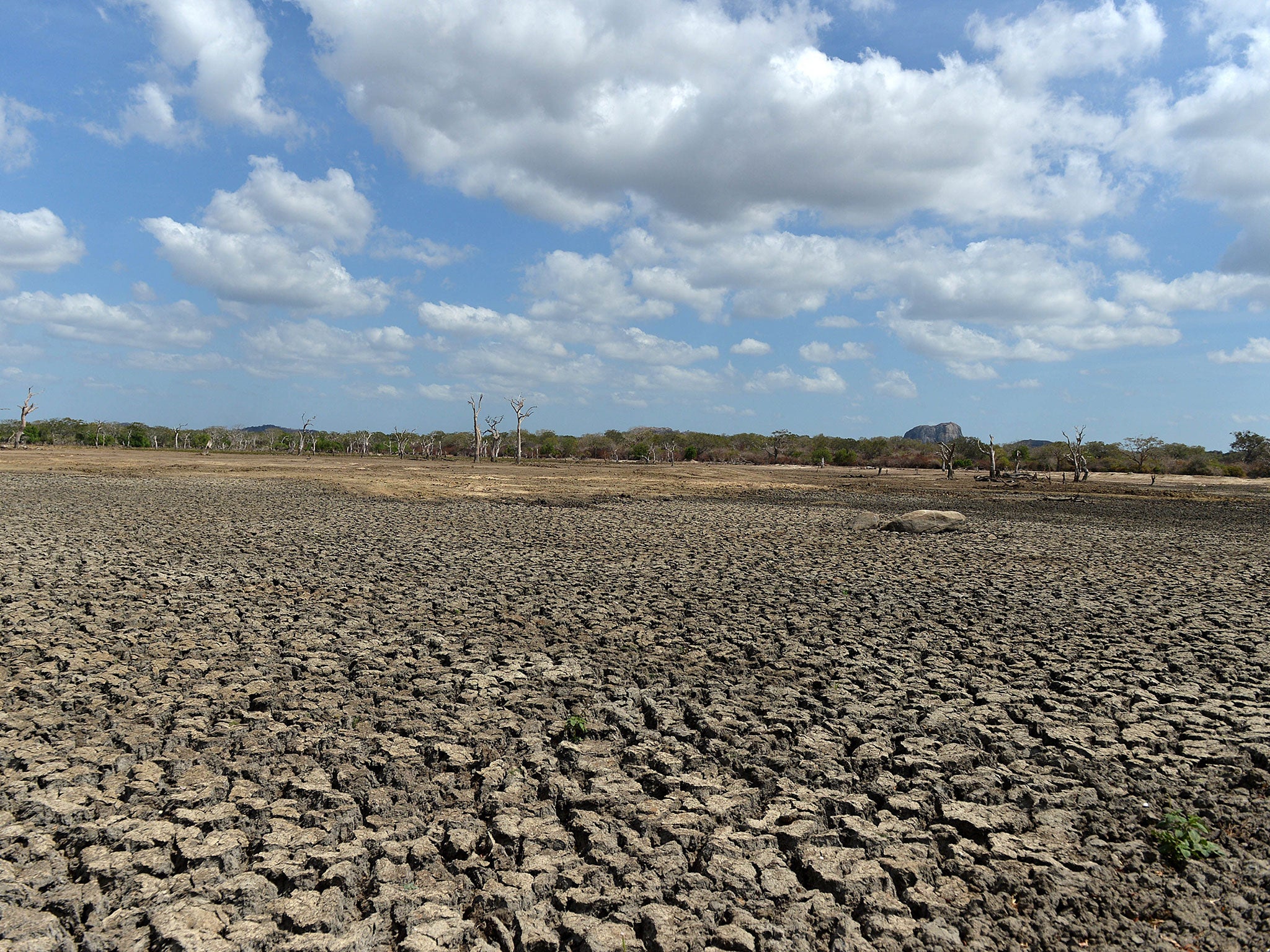 According to research, climate change is set to unleash a series of decades-long 'megadroughts' this century